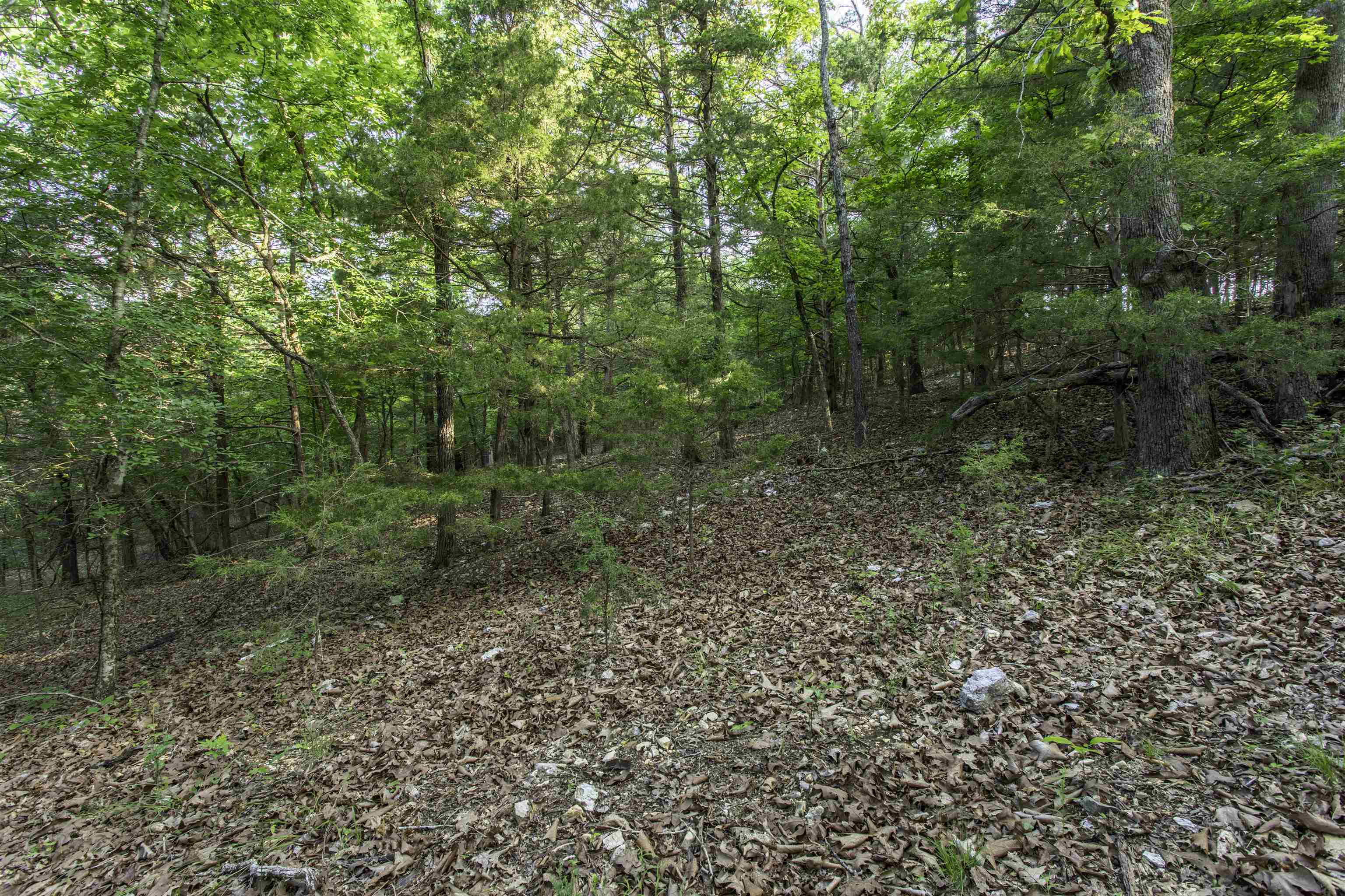 000 Ark Traveler Road Property Photo 7