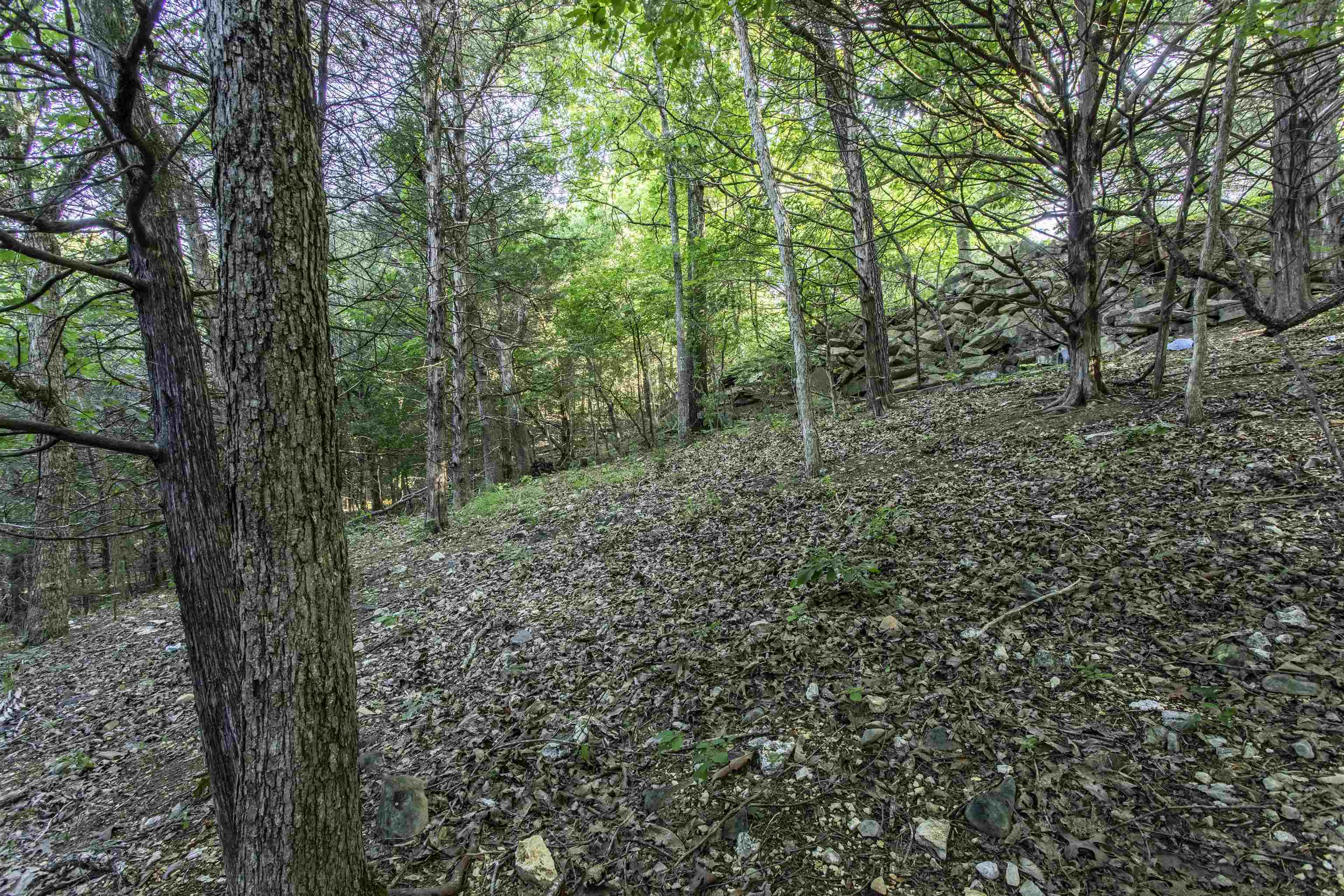 000 Ark Traveler Road Property Photo 10
