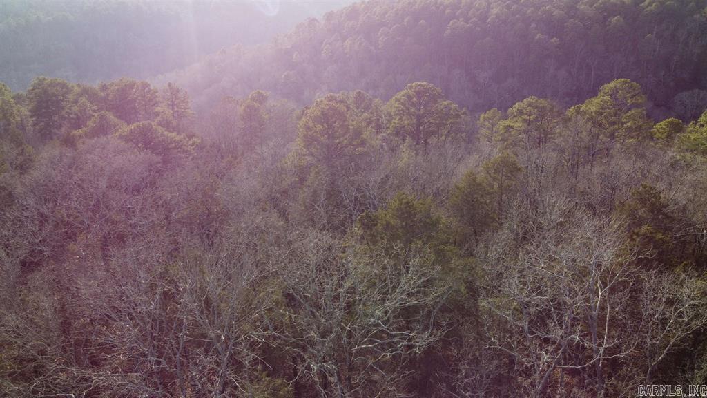 000 Pottsville Road Property Photo 11