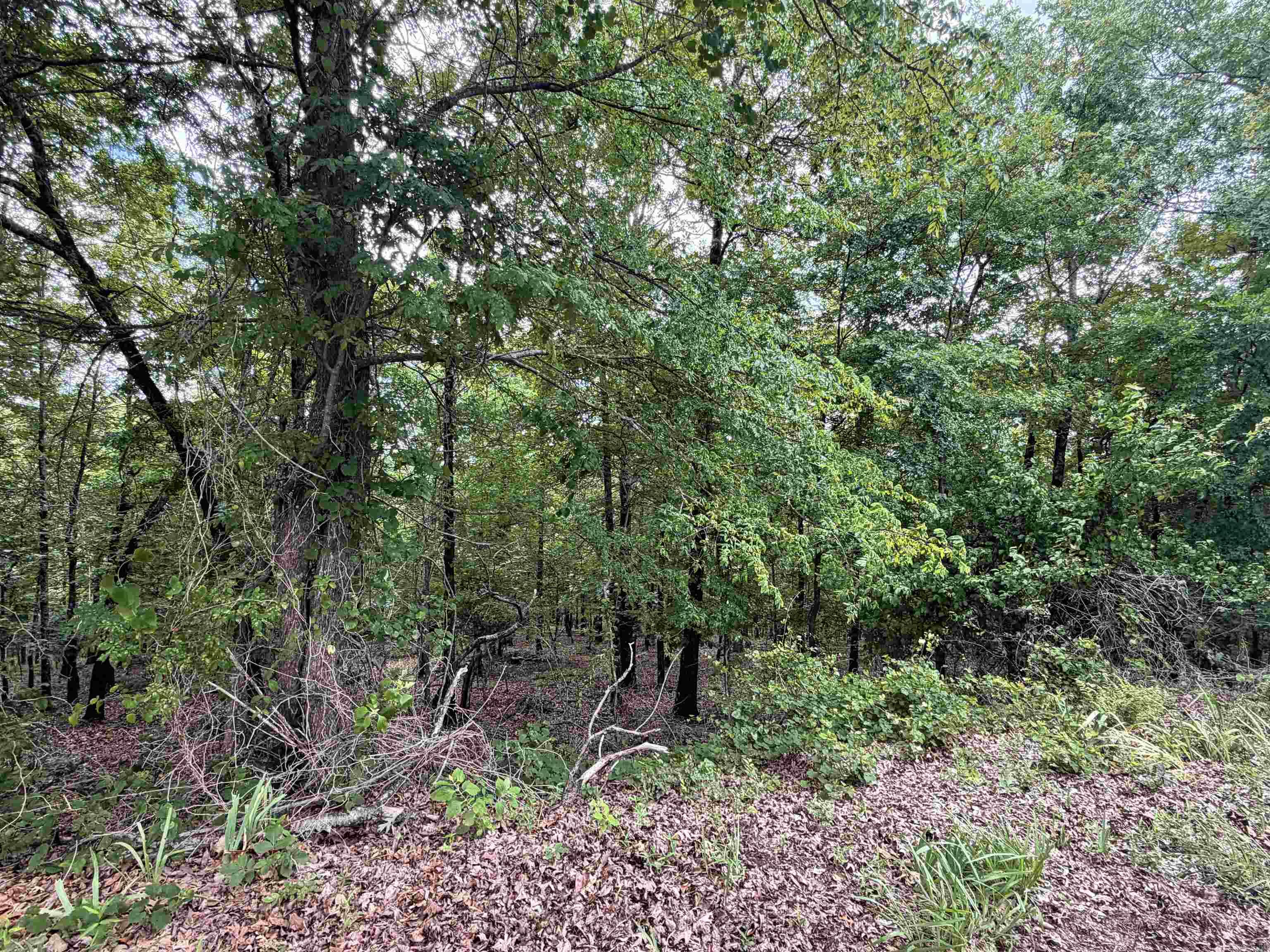 5 And 7 Binefar Trace Property Photo 2