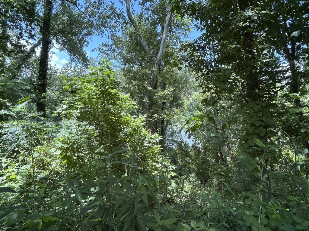 622 Da Hu Road Property Photo 22