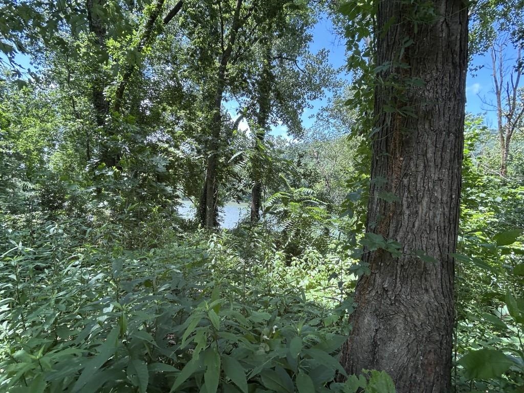 622 Da Hu Road Property Photo 23