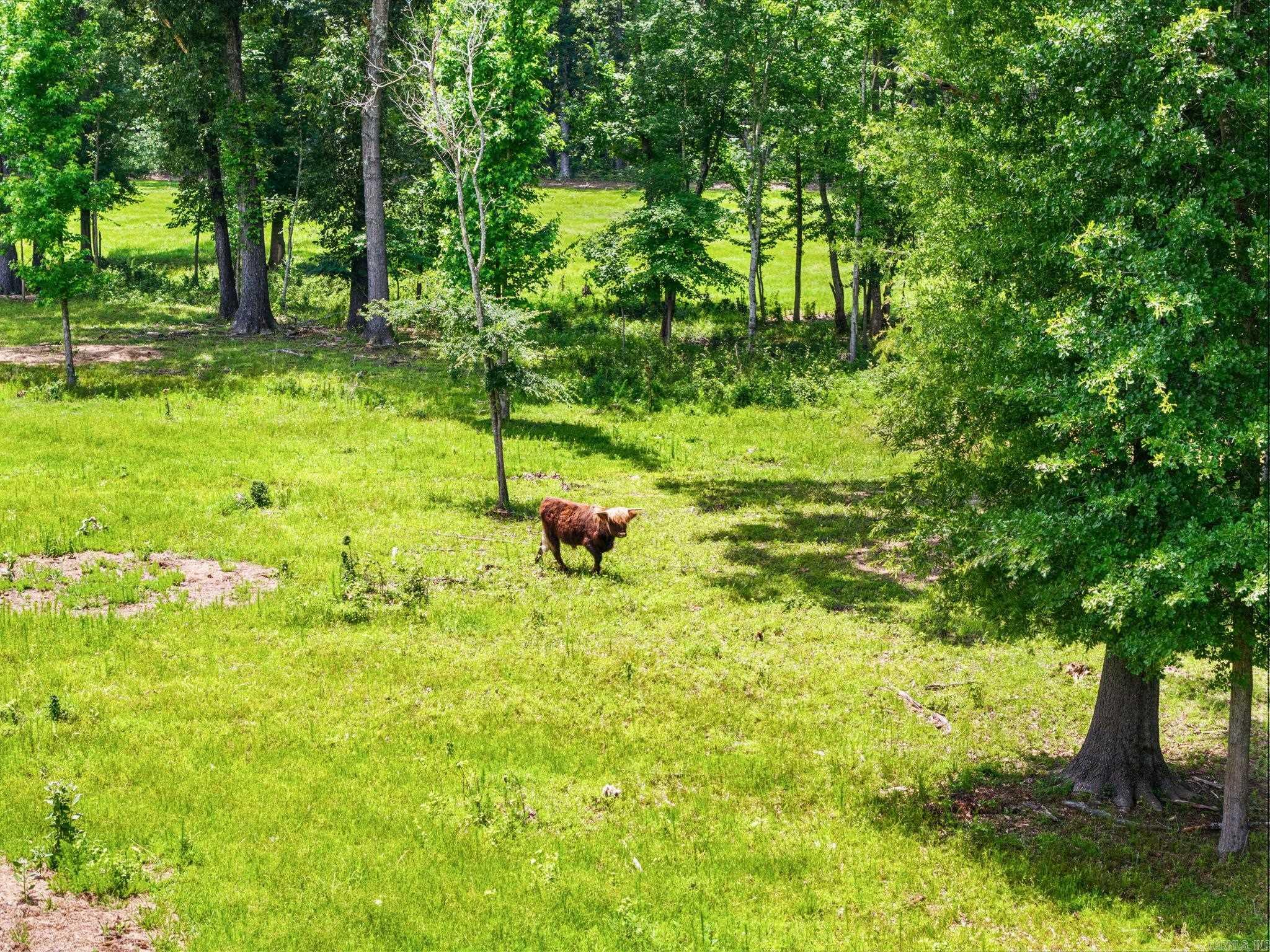 595 Charlie Olds Road Property Photo 8