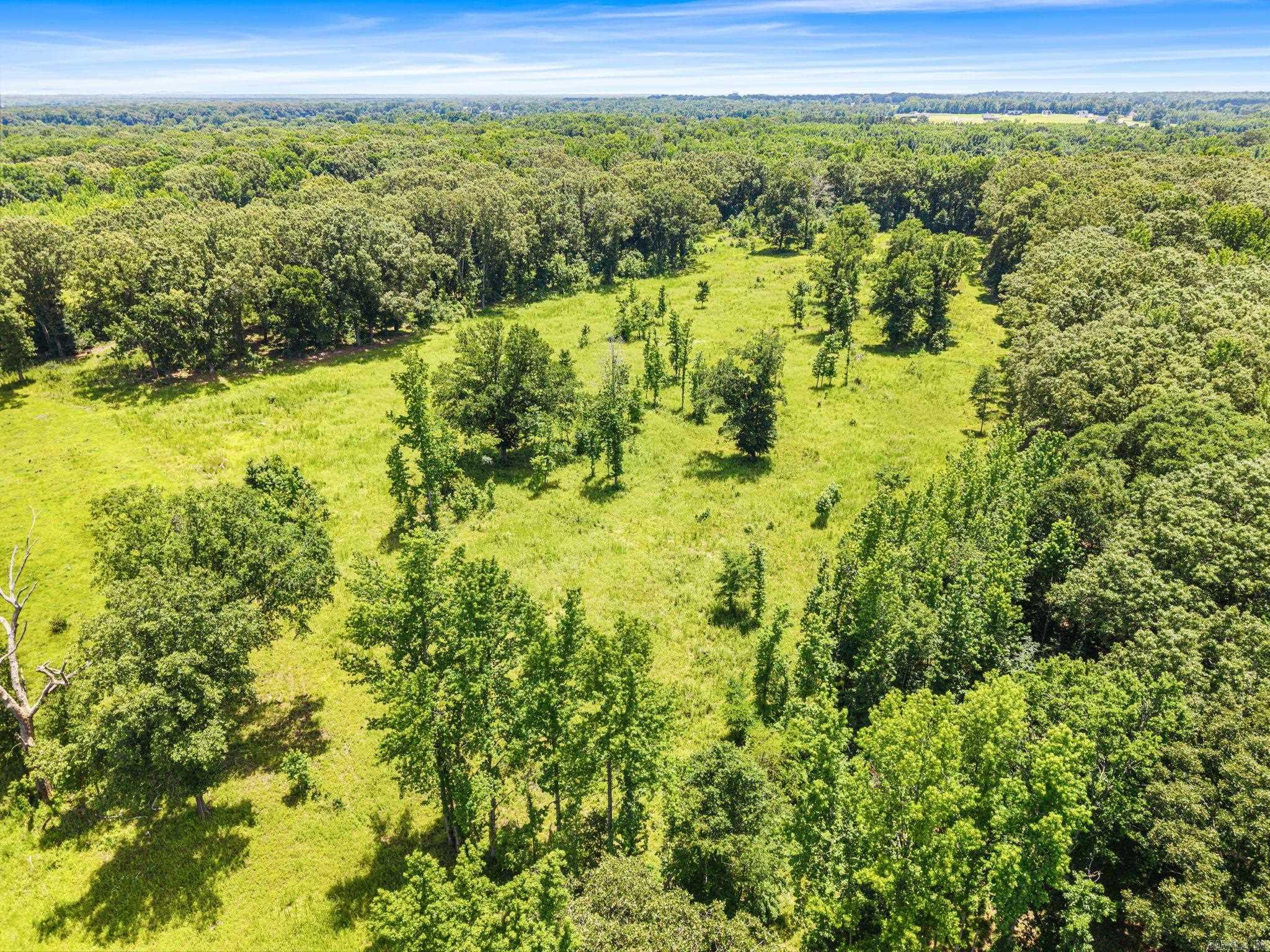 595 Charlie Olds Road Property Photo 20