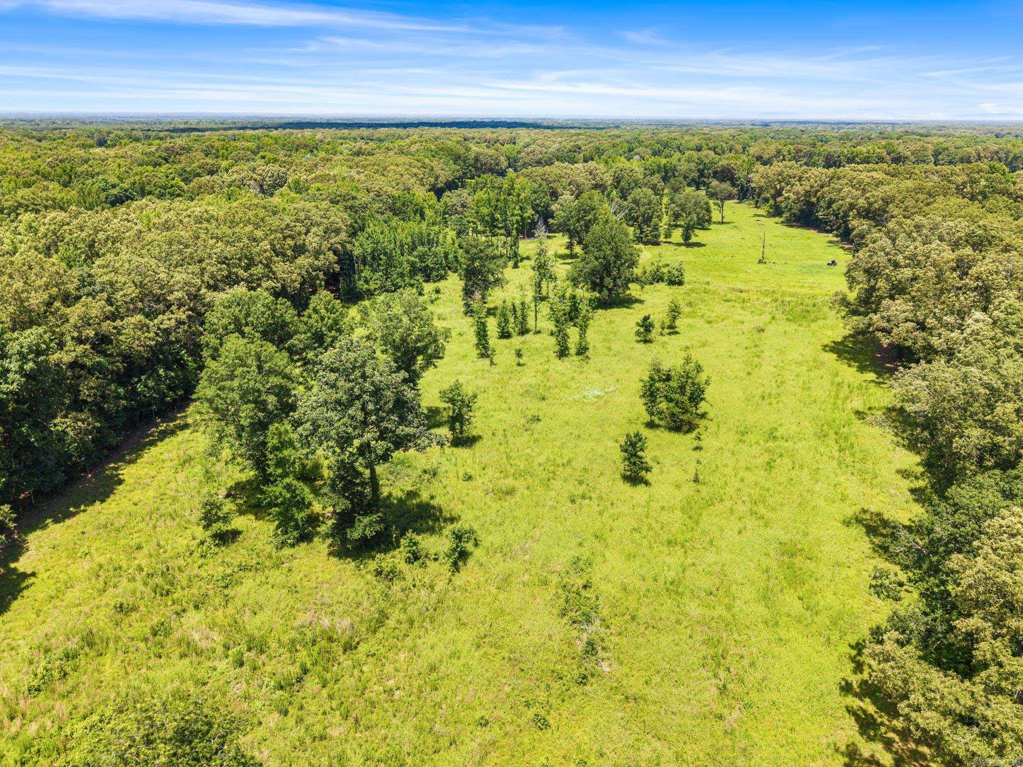 595 Charlie Olds Road Property Photo 22