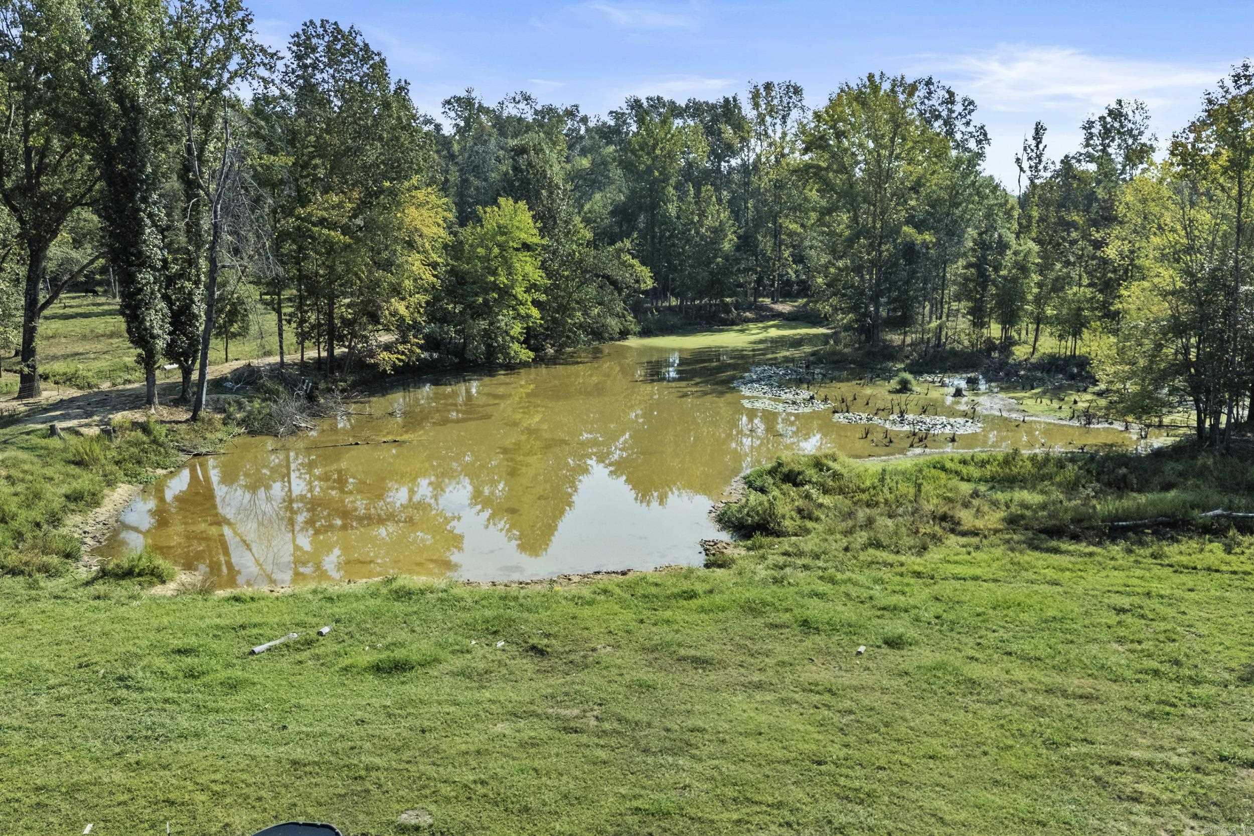 595 Charlie Olds Road Property Photo 24