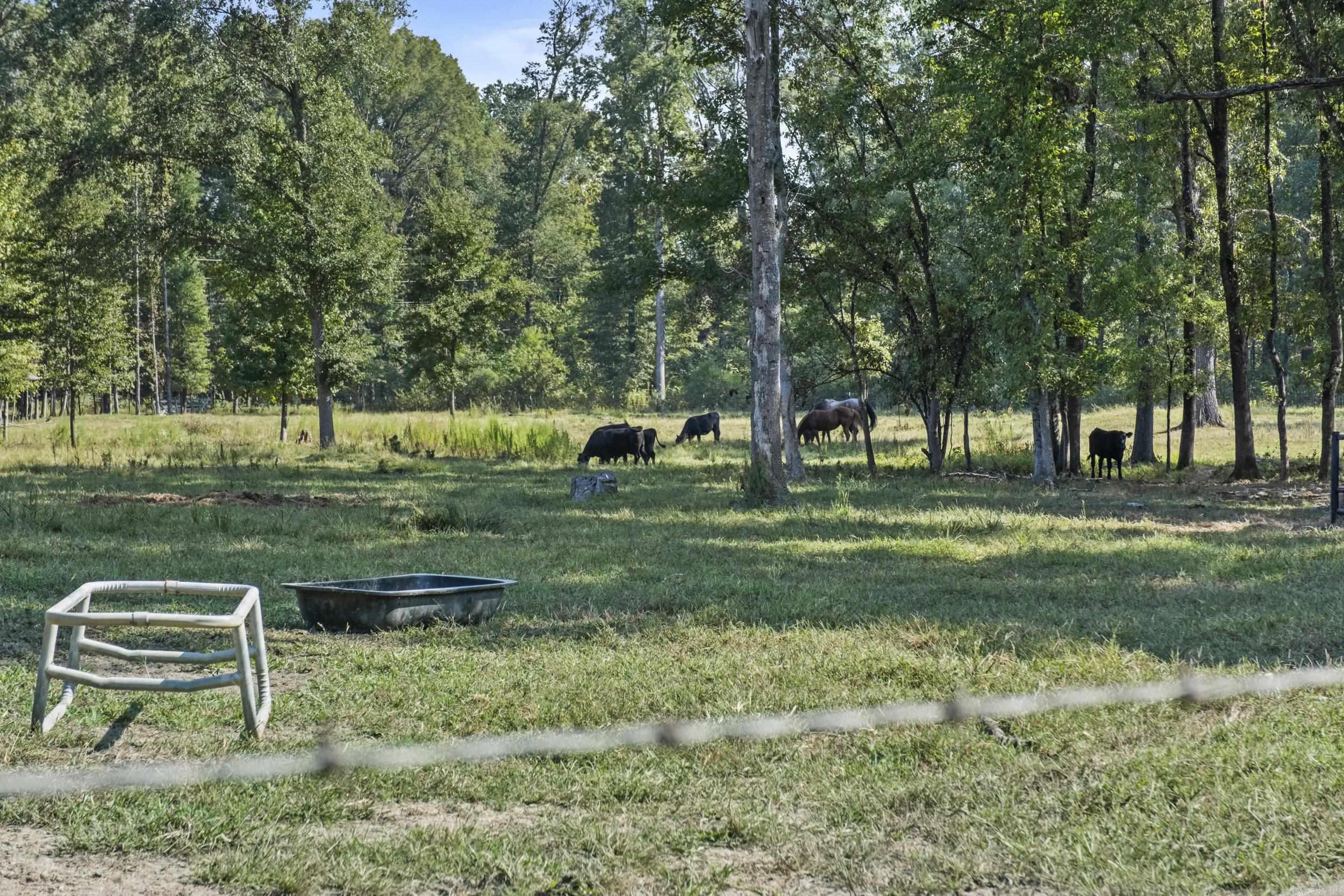 595 Charlie Olds Road Property Photo 25