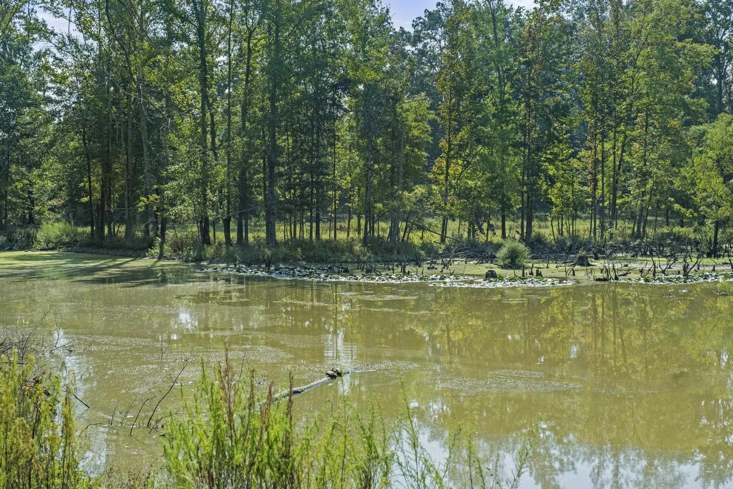 595 Charlie Olds Road Property Photo 26
