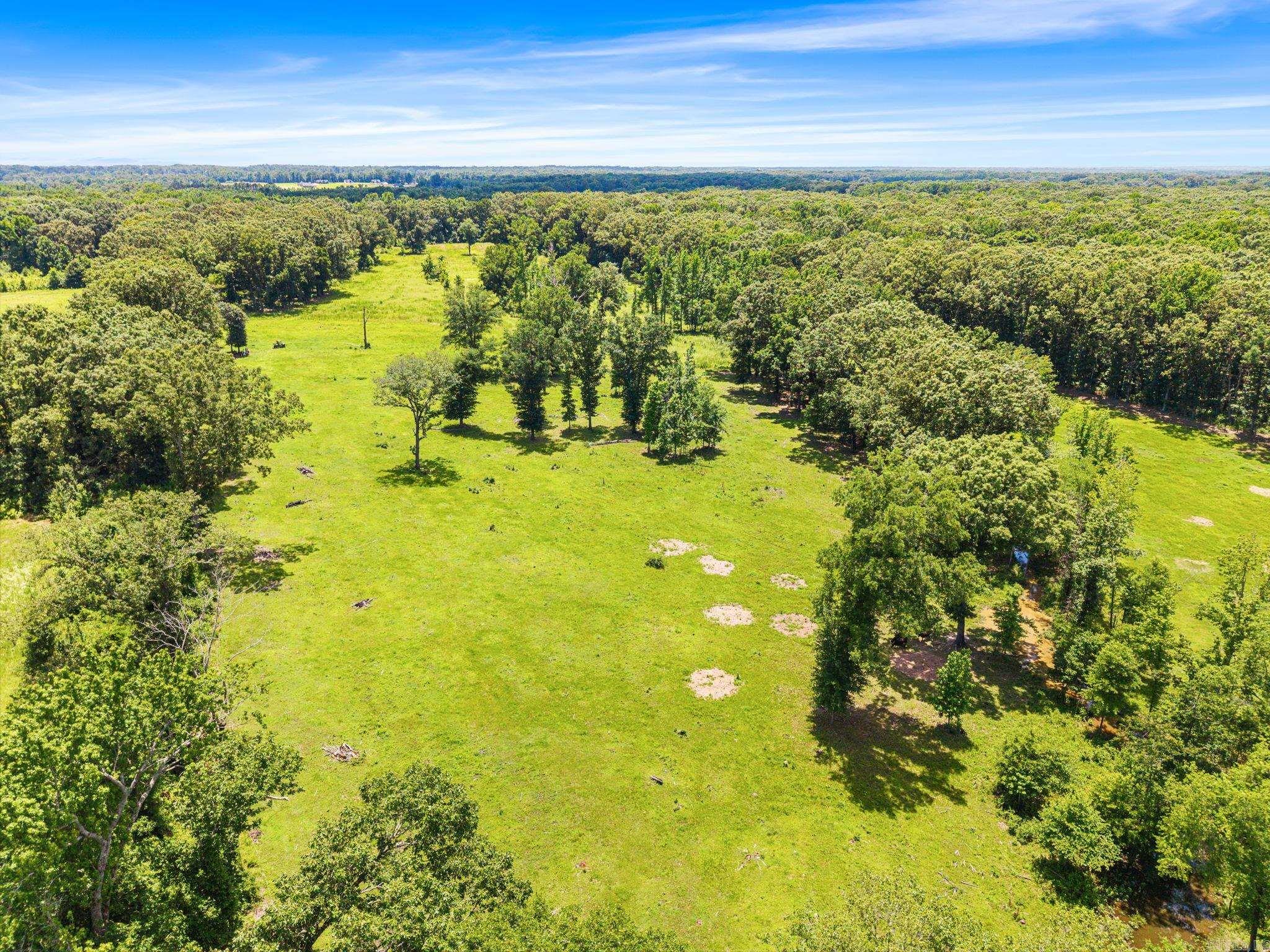 595 Charlie Olds Road Property Photo 40