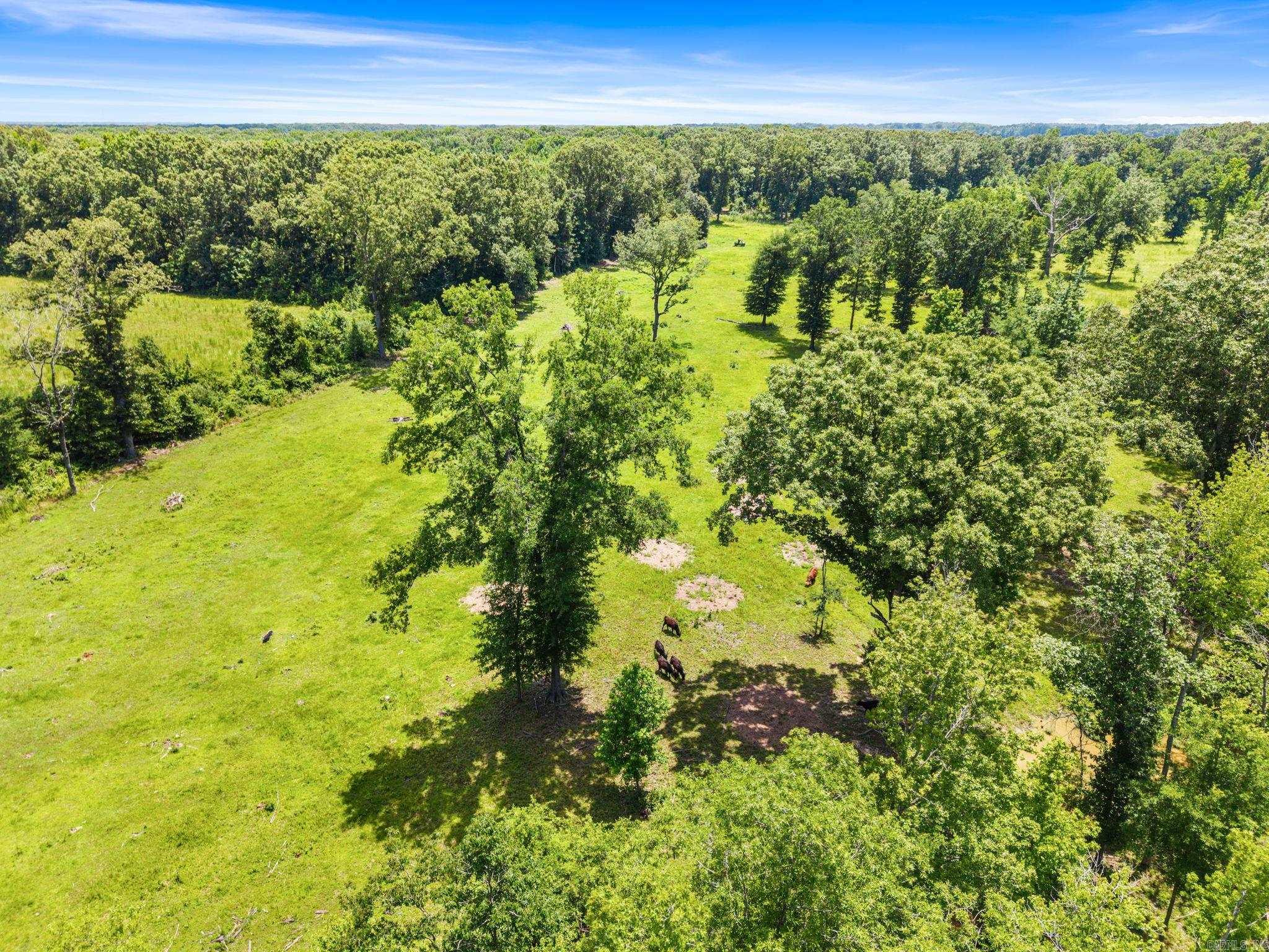 595 Charlie Olds Road Property Photo 41