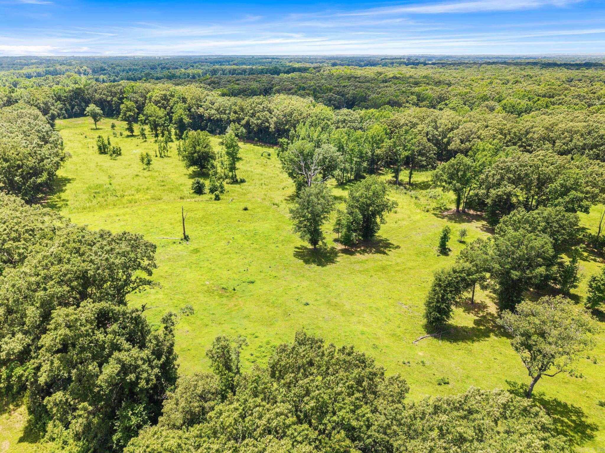 595 Charlie Olds Road Property Photo 42