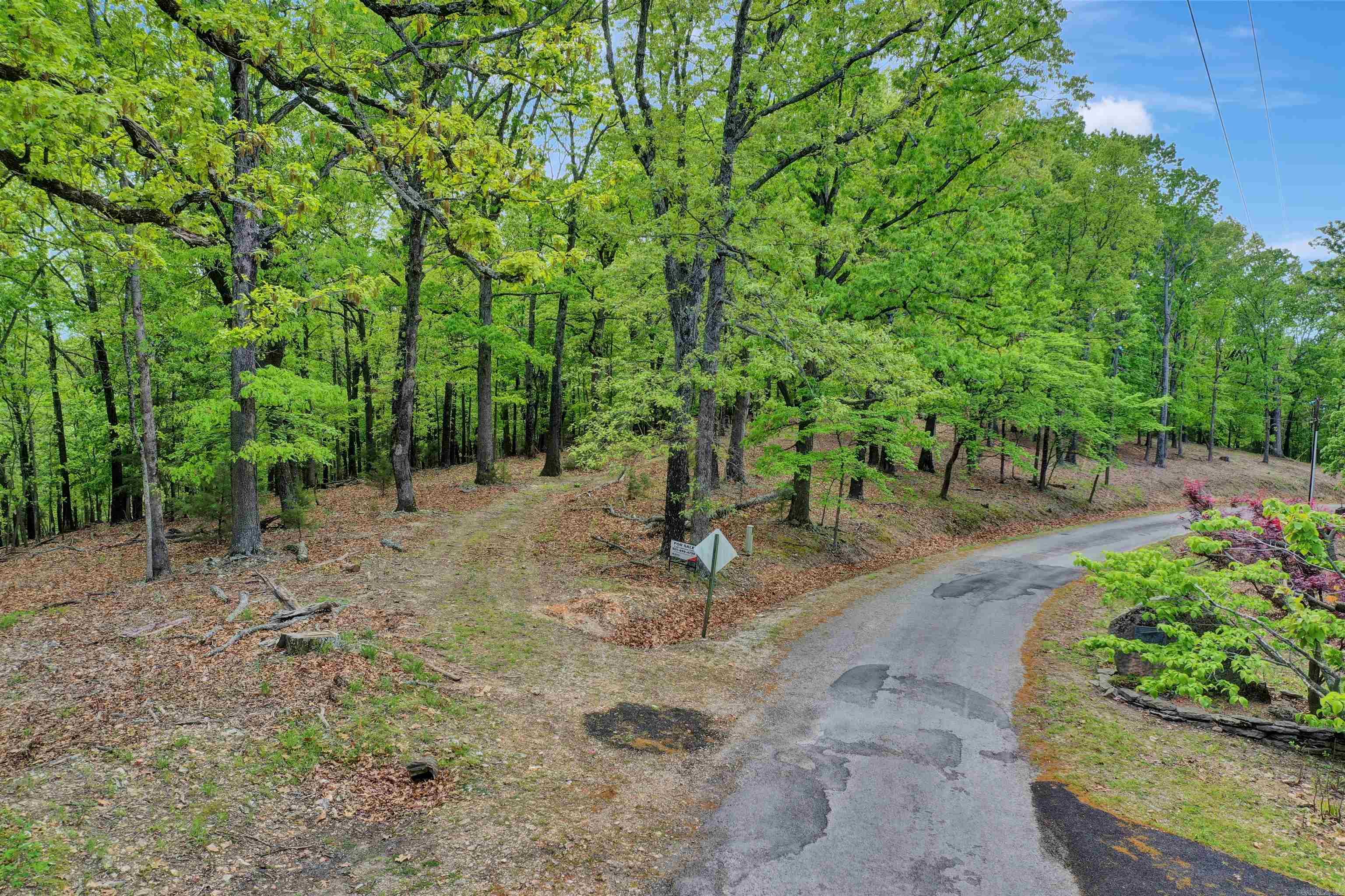 69 Jackson Ridge Property Photo 46