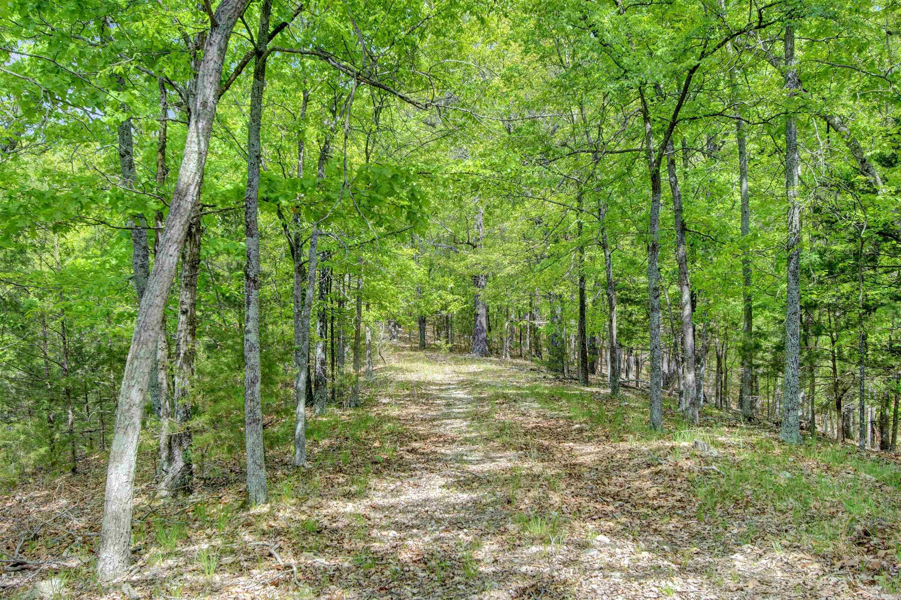 69 Jackson Ridge Property Photo 48