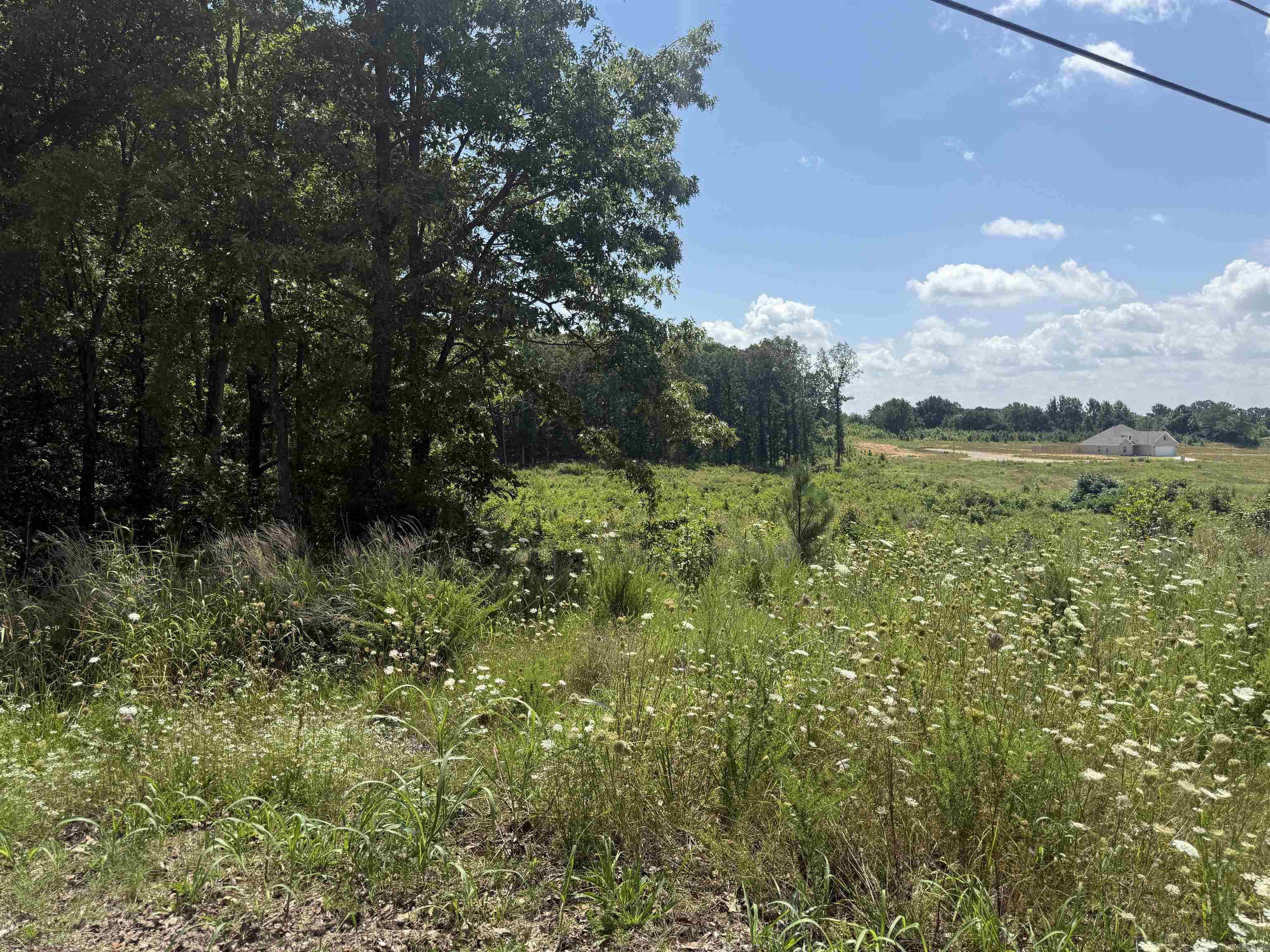 3.98 Acres Mockingbird Lane Property Photo 3