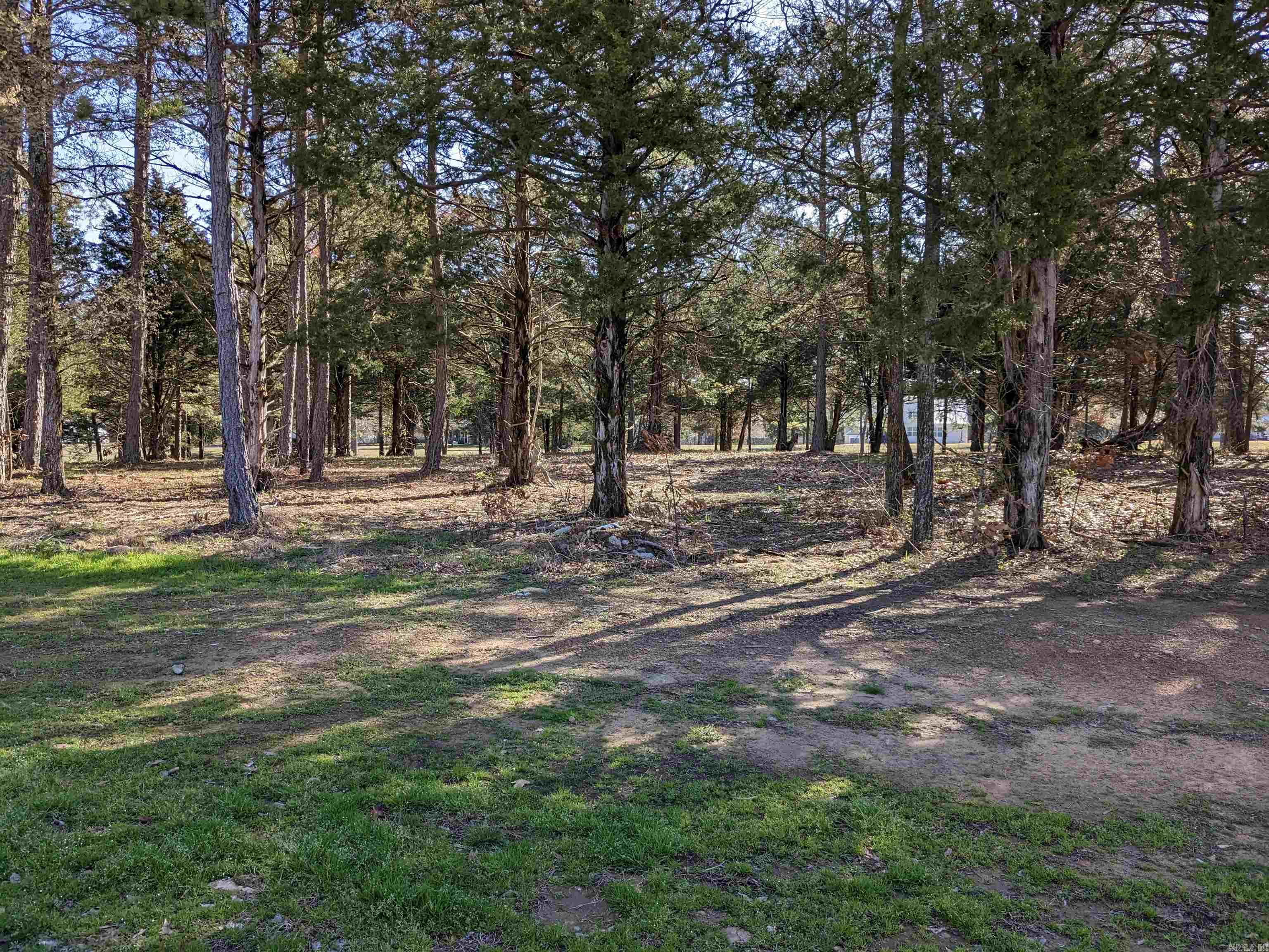 Lot 19 Brighton Pointe Property Photo 1