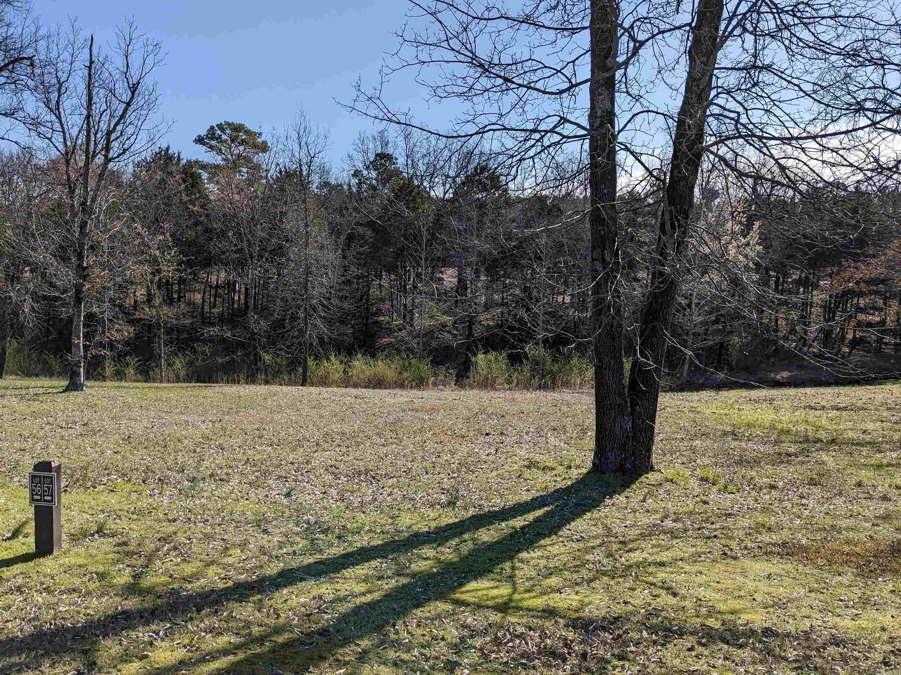 Lot 57 Brighton Pointe Property Photo 1