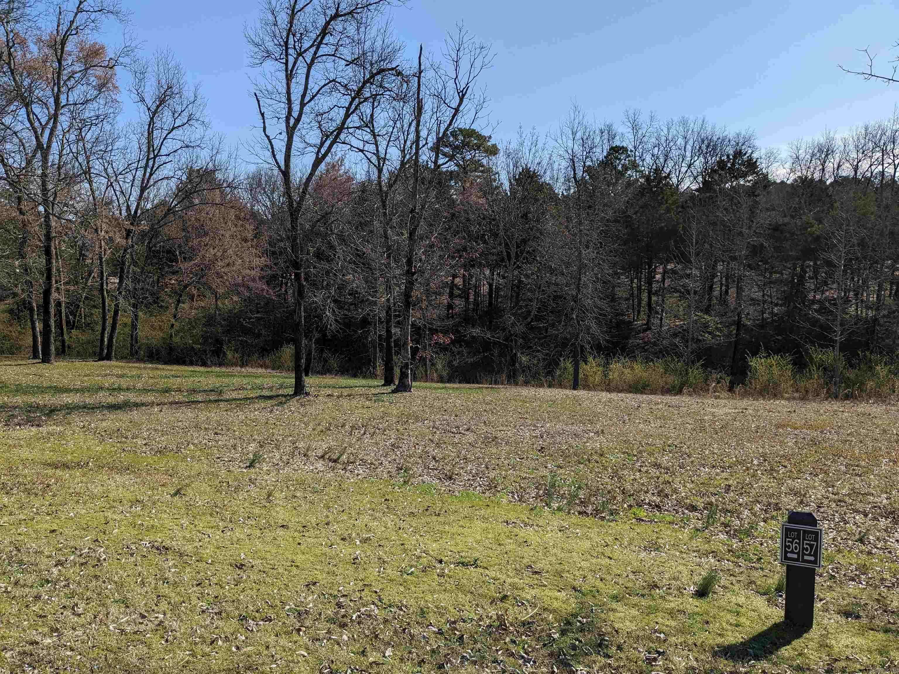 Lot 56 Brighton Pointe Property Photo 1