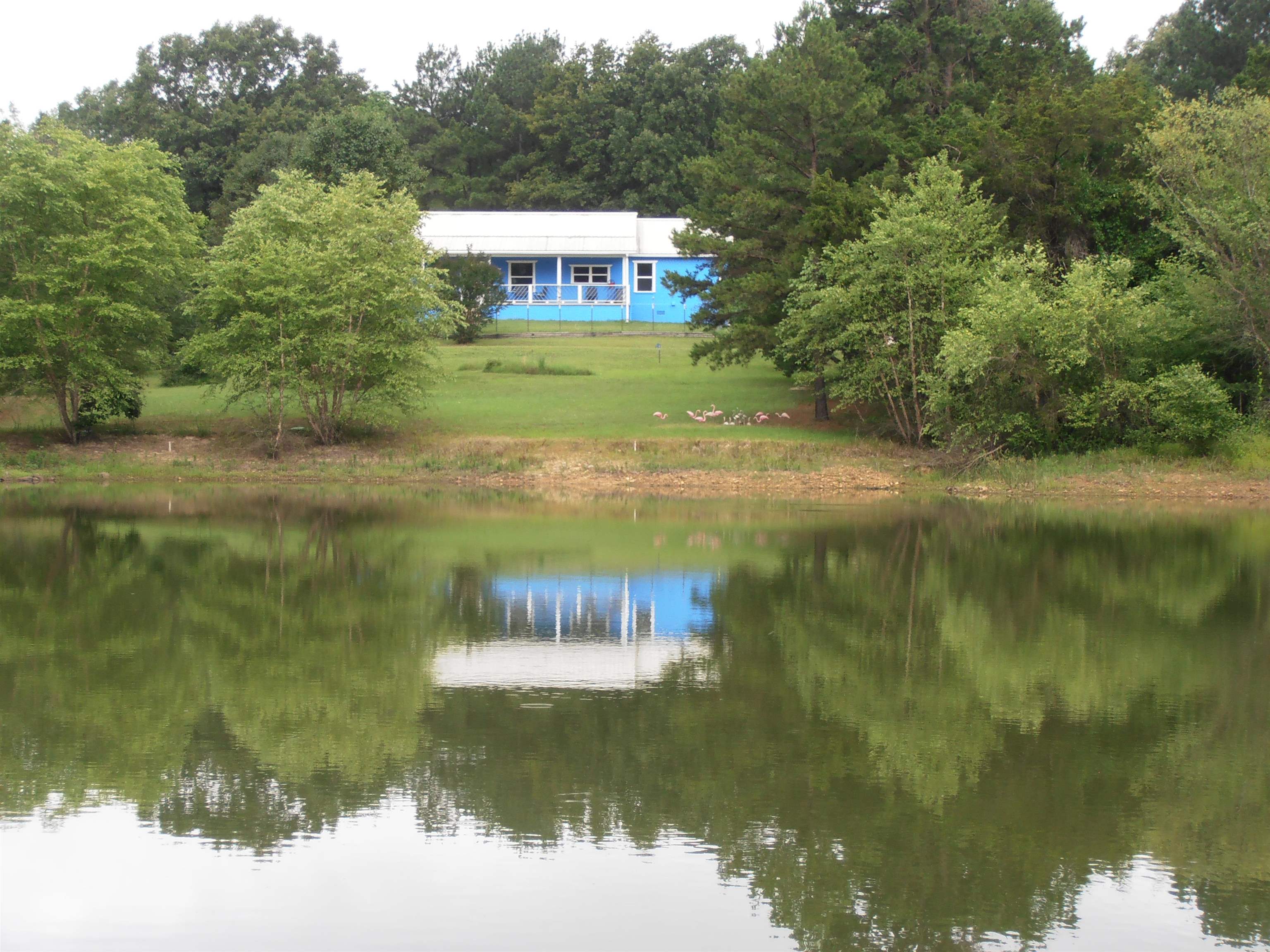 1311 Blevins Abbott Road Property Photo 7