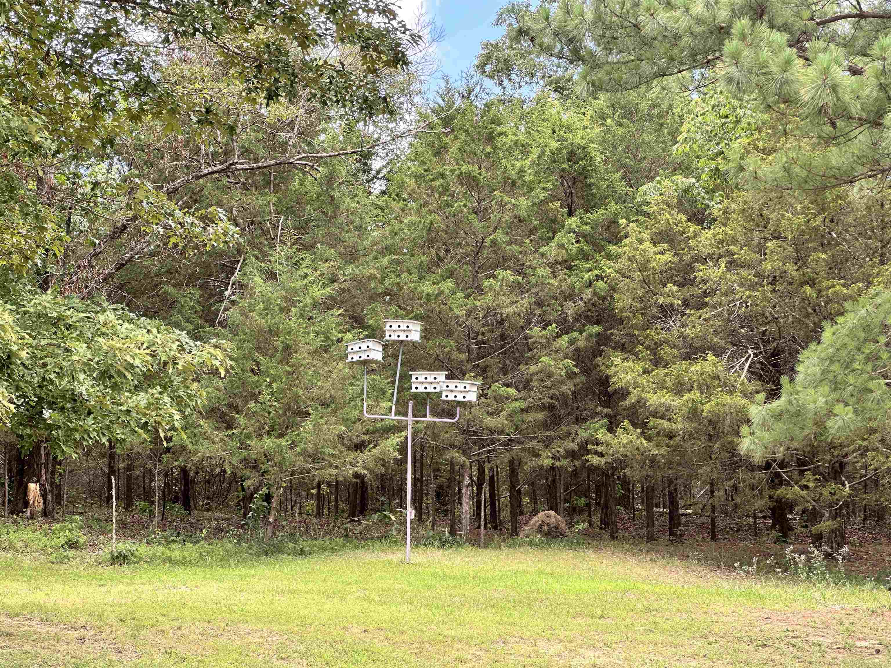 1311 Blevins Abbott Road Property Photo 12