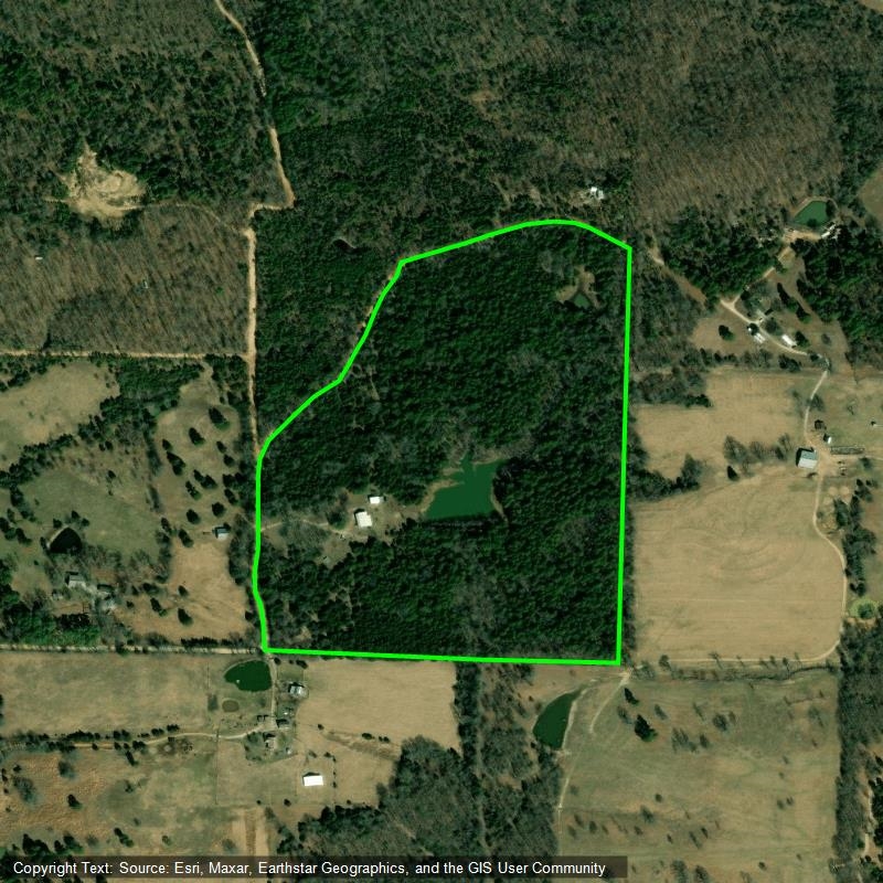 1311 Blevins Abbott Road Property Photo 41