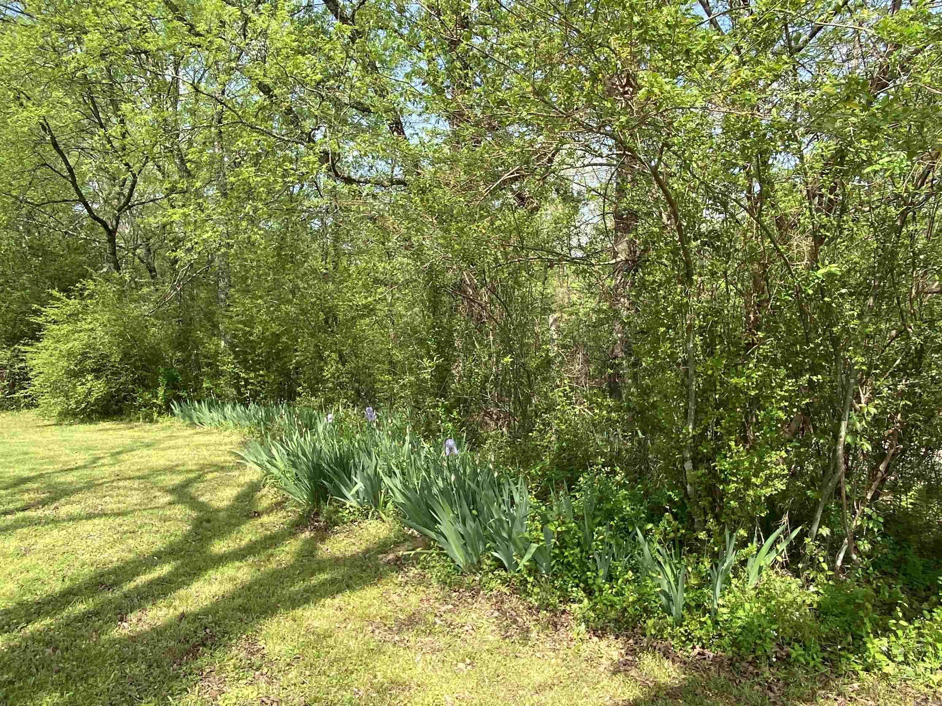 41 Mockingbird Lane Story, Ar Property Photo 25