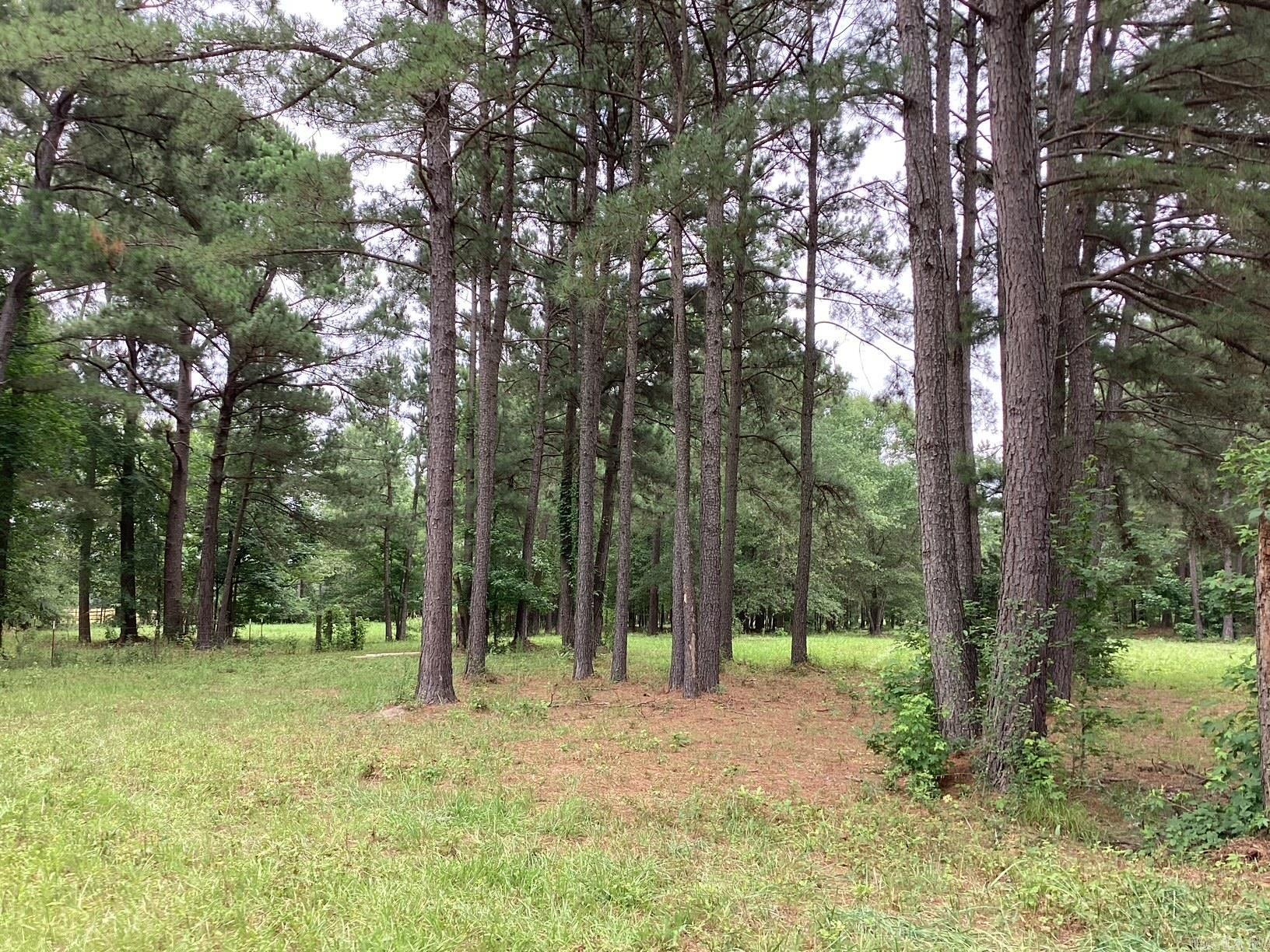 Hwy 24 E & Nevada 249 N Property Photo 2