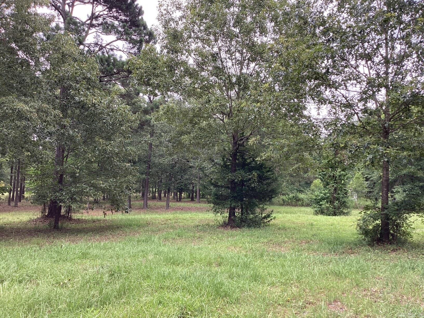 Hwy 24 E & Nevada 249 N Property Photo 13