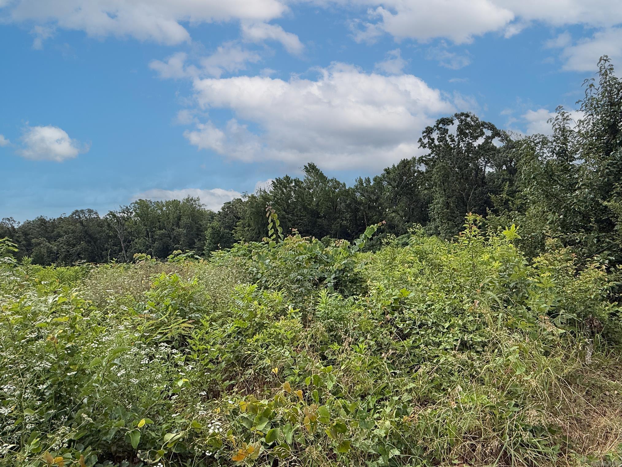 Lot 133 N Stagecoach Road Property Photo 6