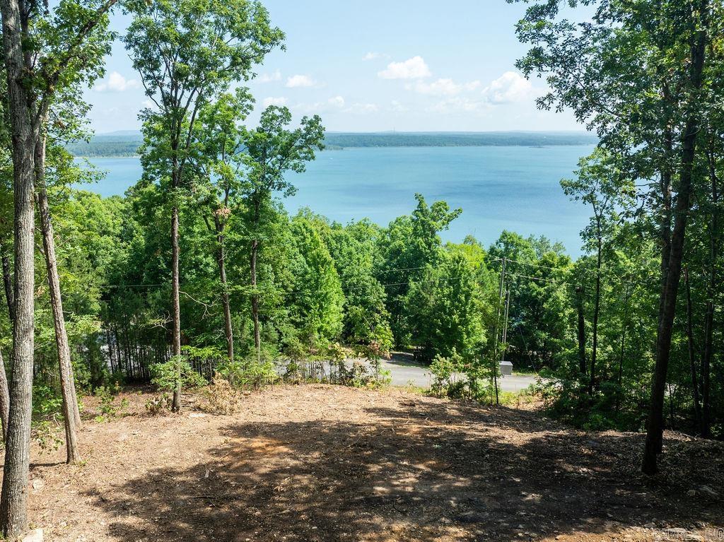 0 Lakefront Road Property Photo 2