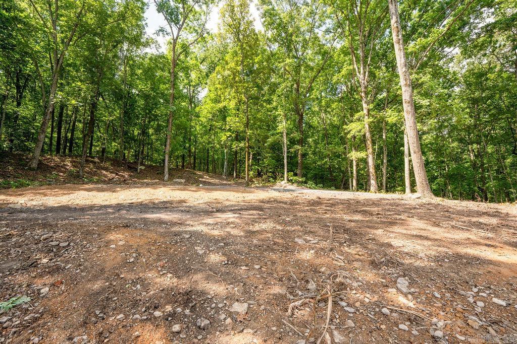 0 Lakefront Road Property Photo 10