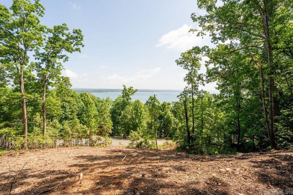 0 Lakefront Road Property Photo 11
