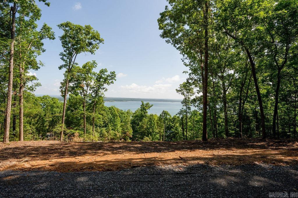 0 Lakefront Road Property Photo 12