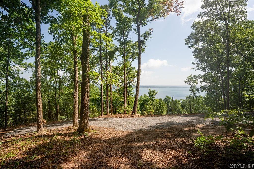 0 Lakefront Road Property Photo 13