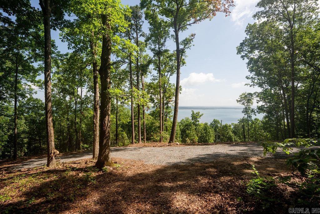 0 Lakefront Road Property Photo 15
