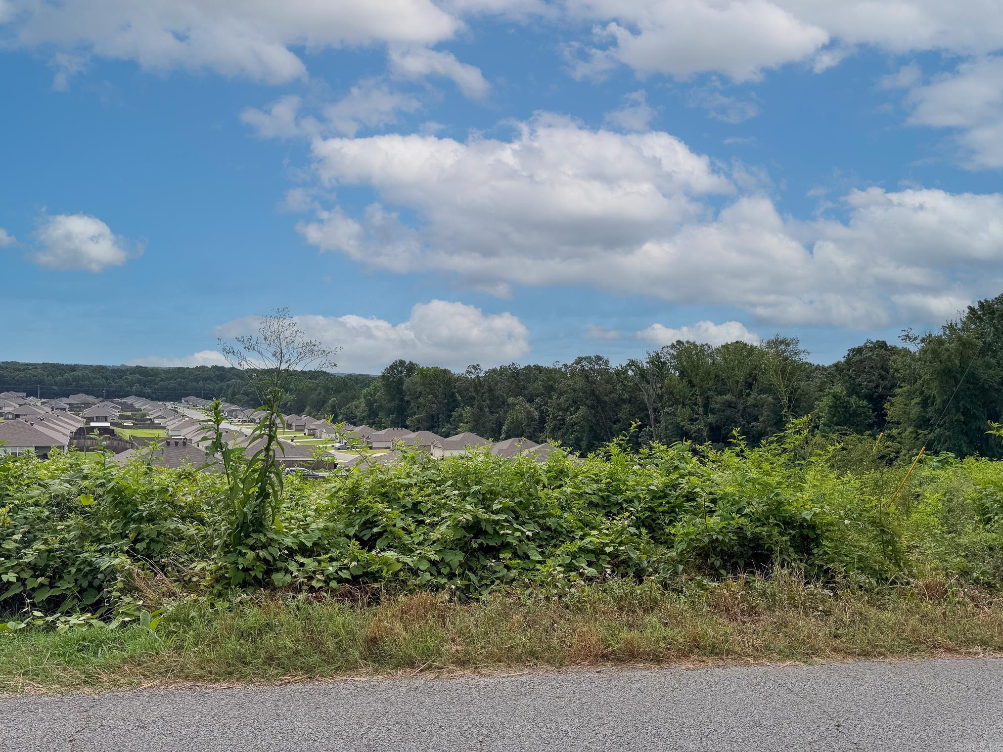 Lot 138 N Stagecoach Road Property Photo 2