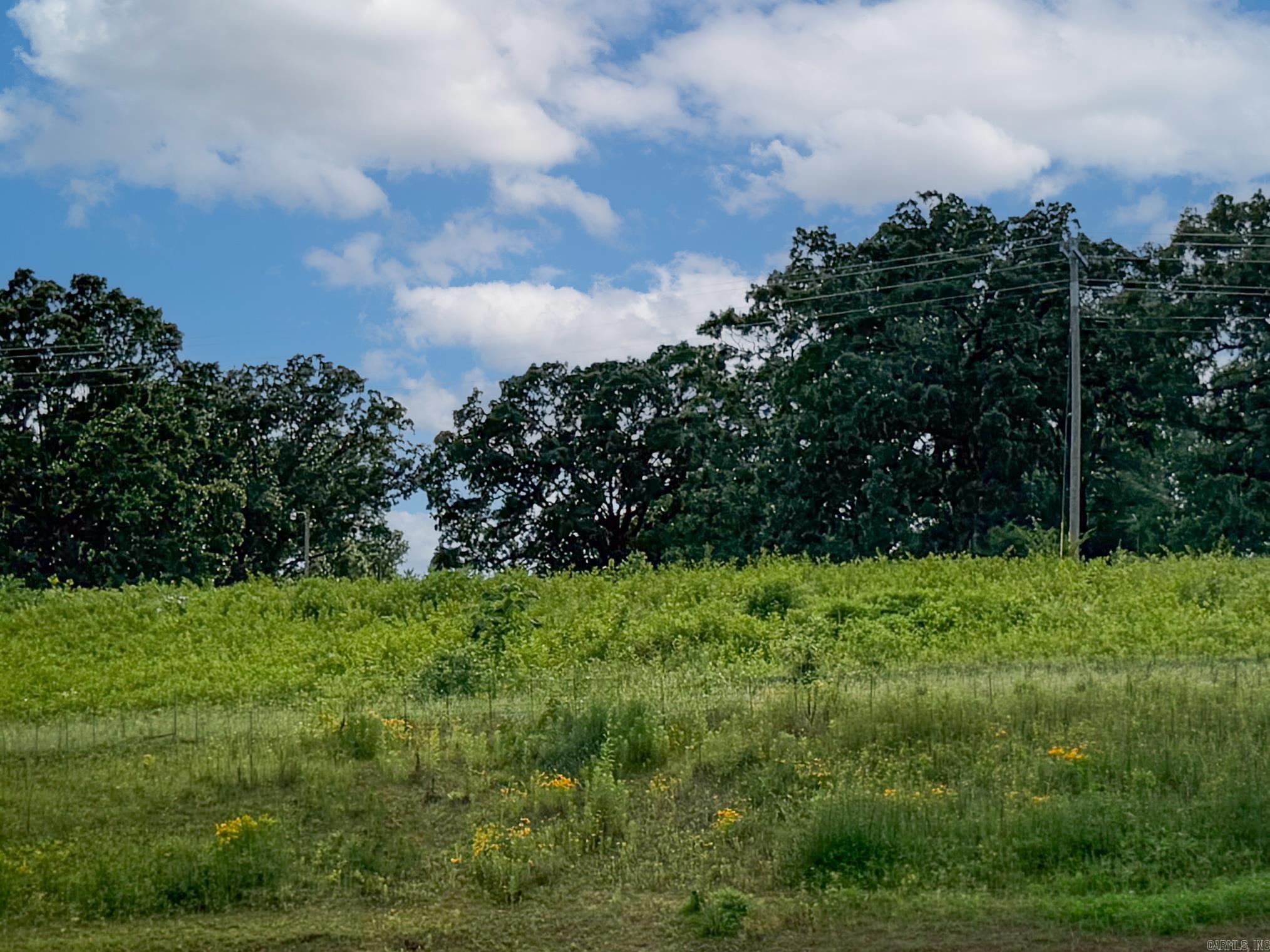 Lot 138 N Stagecoach Road Property Photo 5