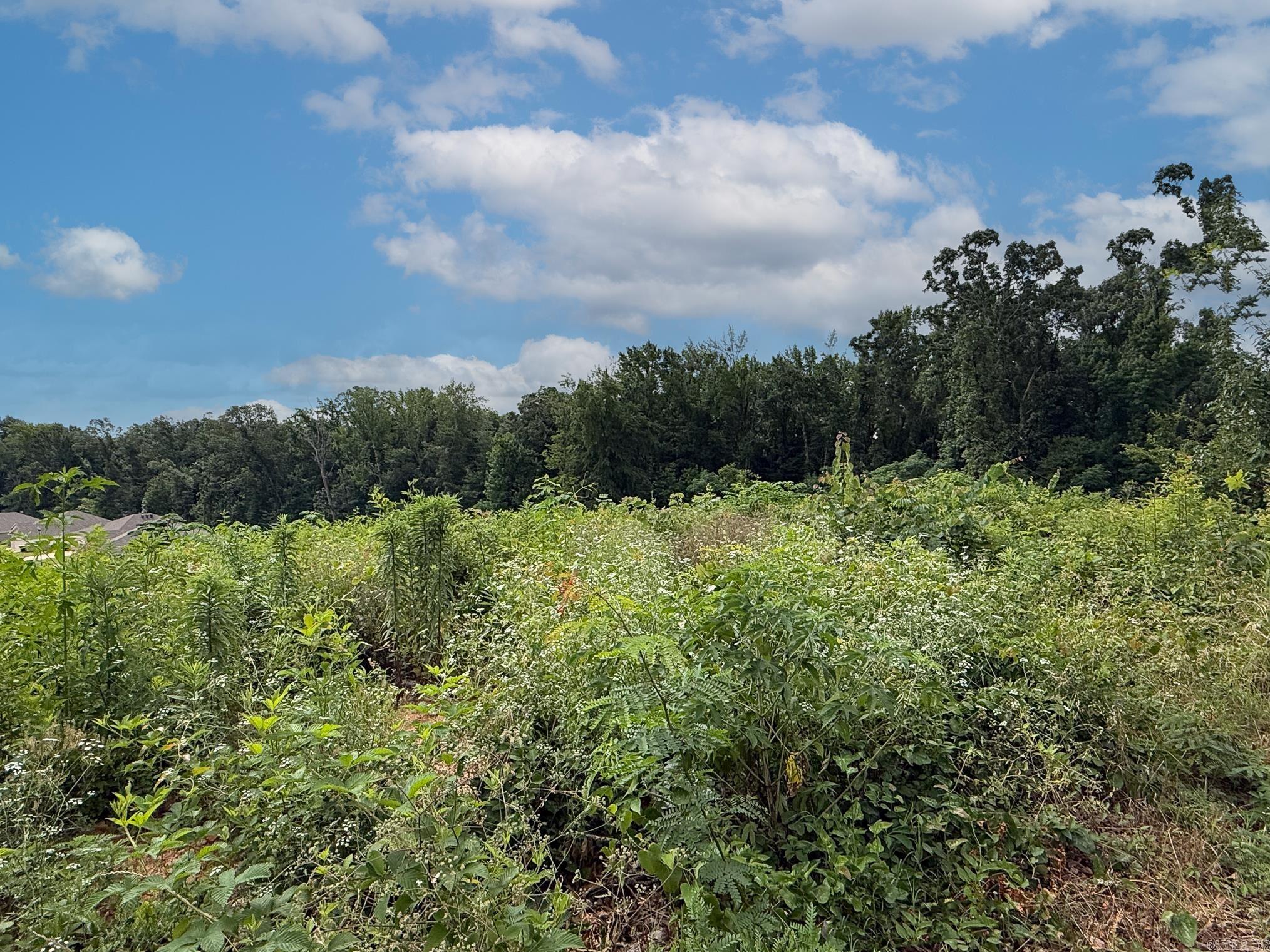 Lot 139 N Stagecoach Road Property Photo 4