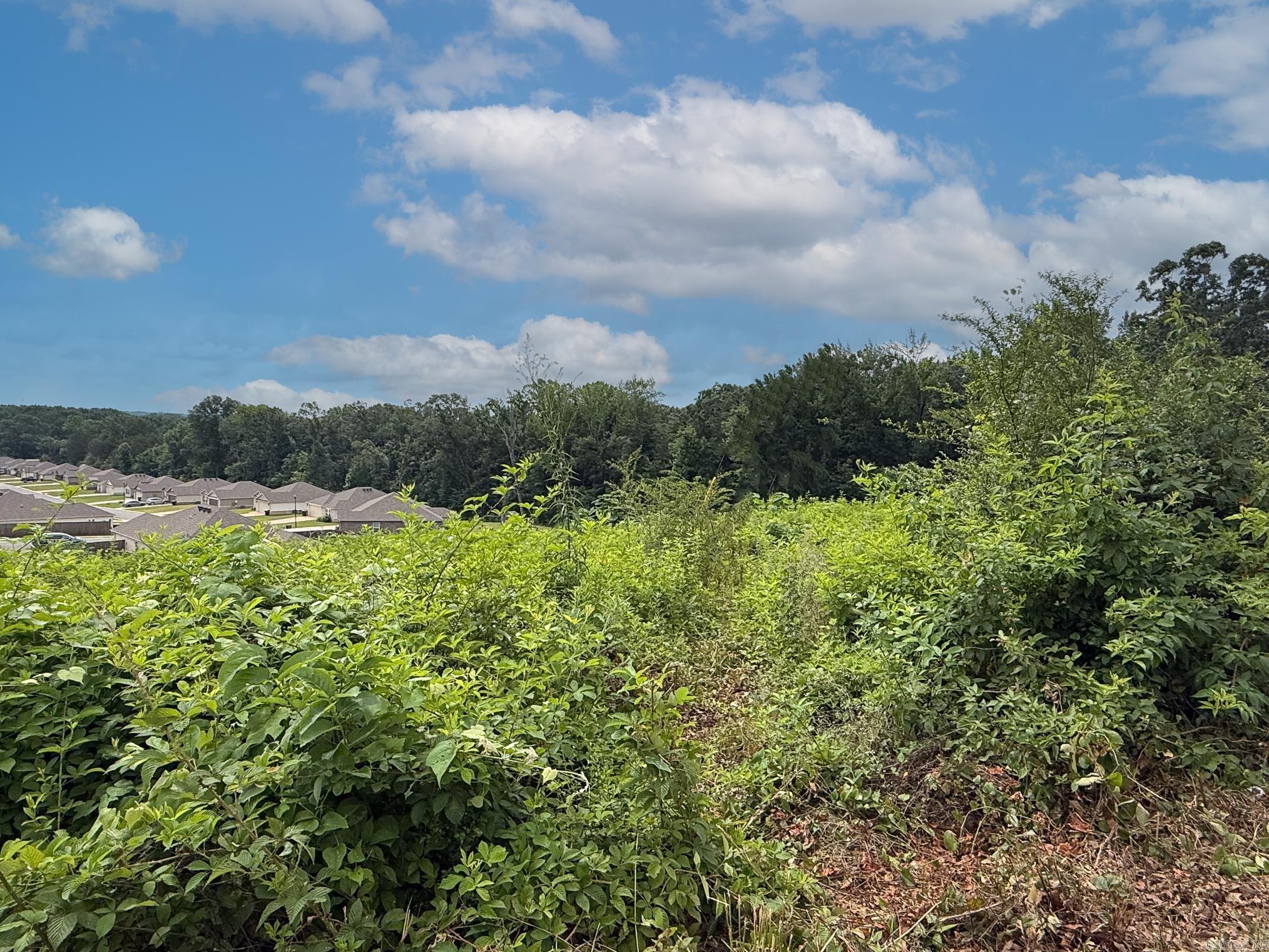 Lot 139 N Stagecoach Road Property Photo 7