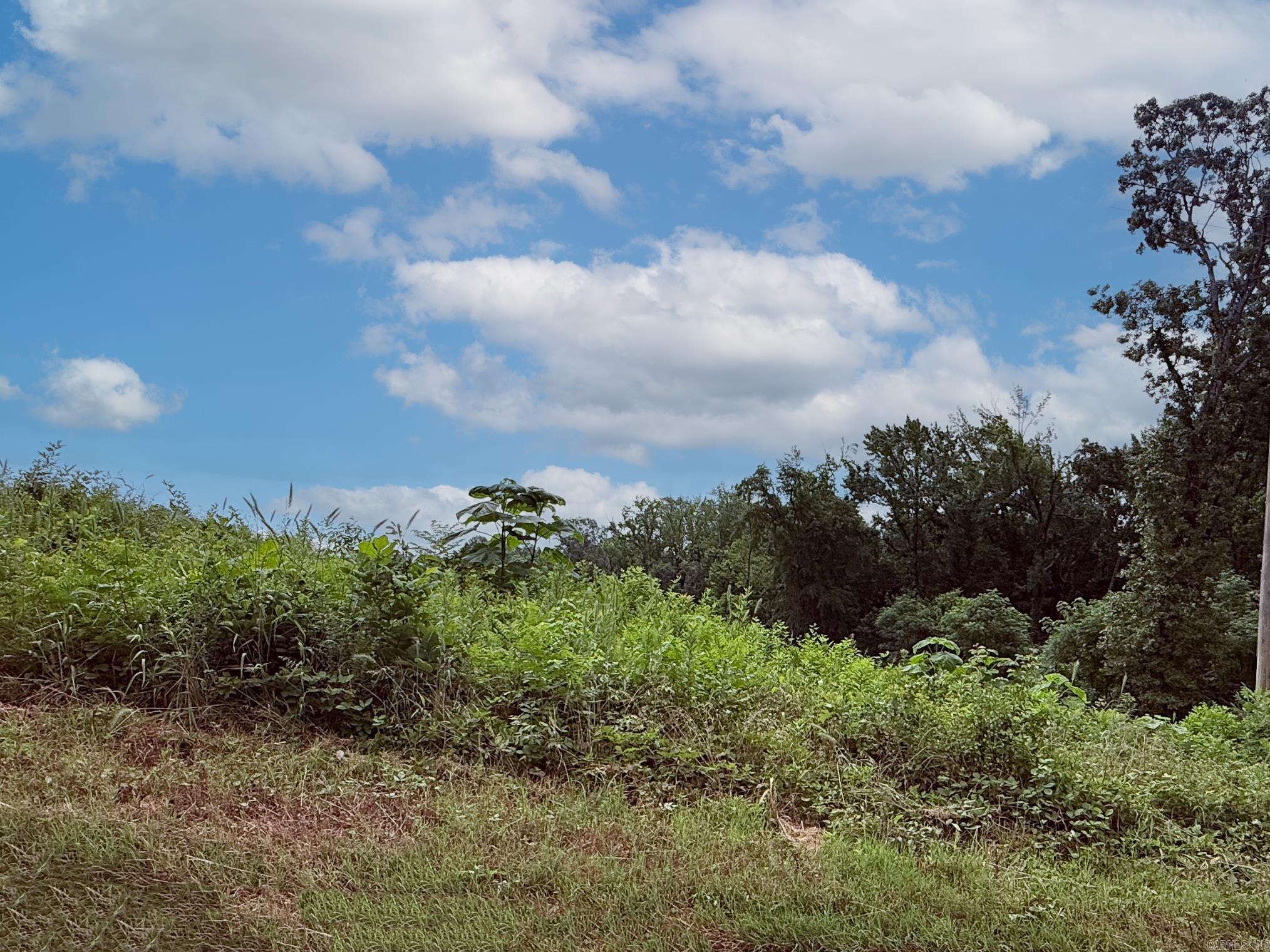 Lot 139 N Stagecoach Road Property Photo 8