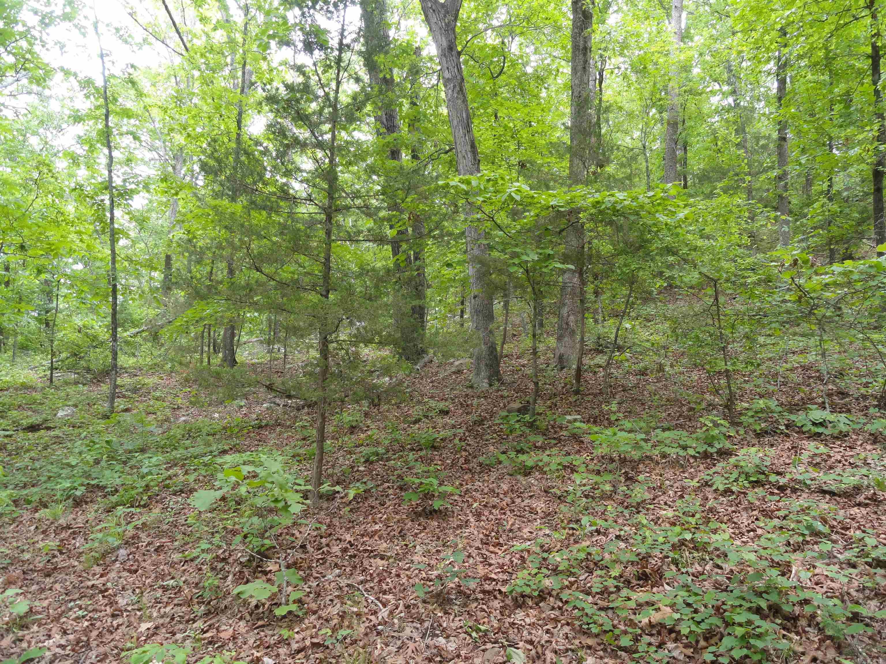 0000 Holly Mtn. Road Property Photo 33