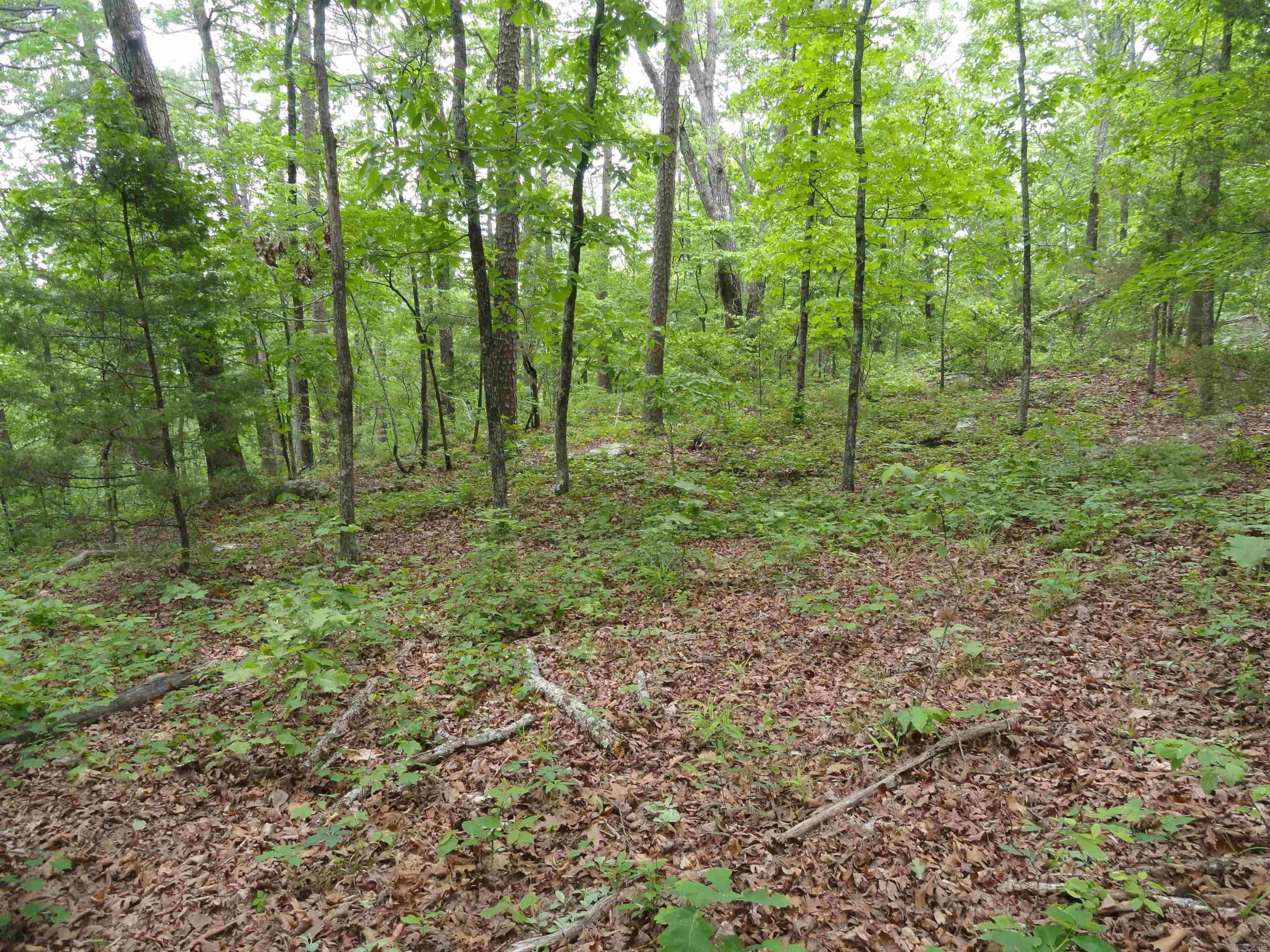 0000 Holly Mtn. Road Property Photo 34