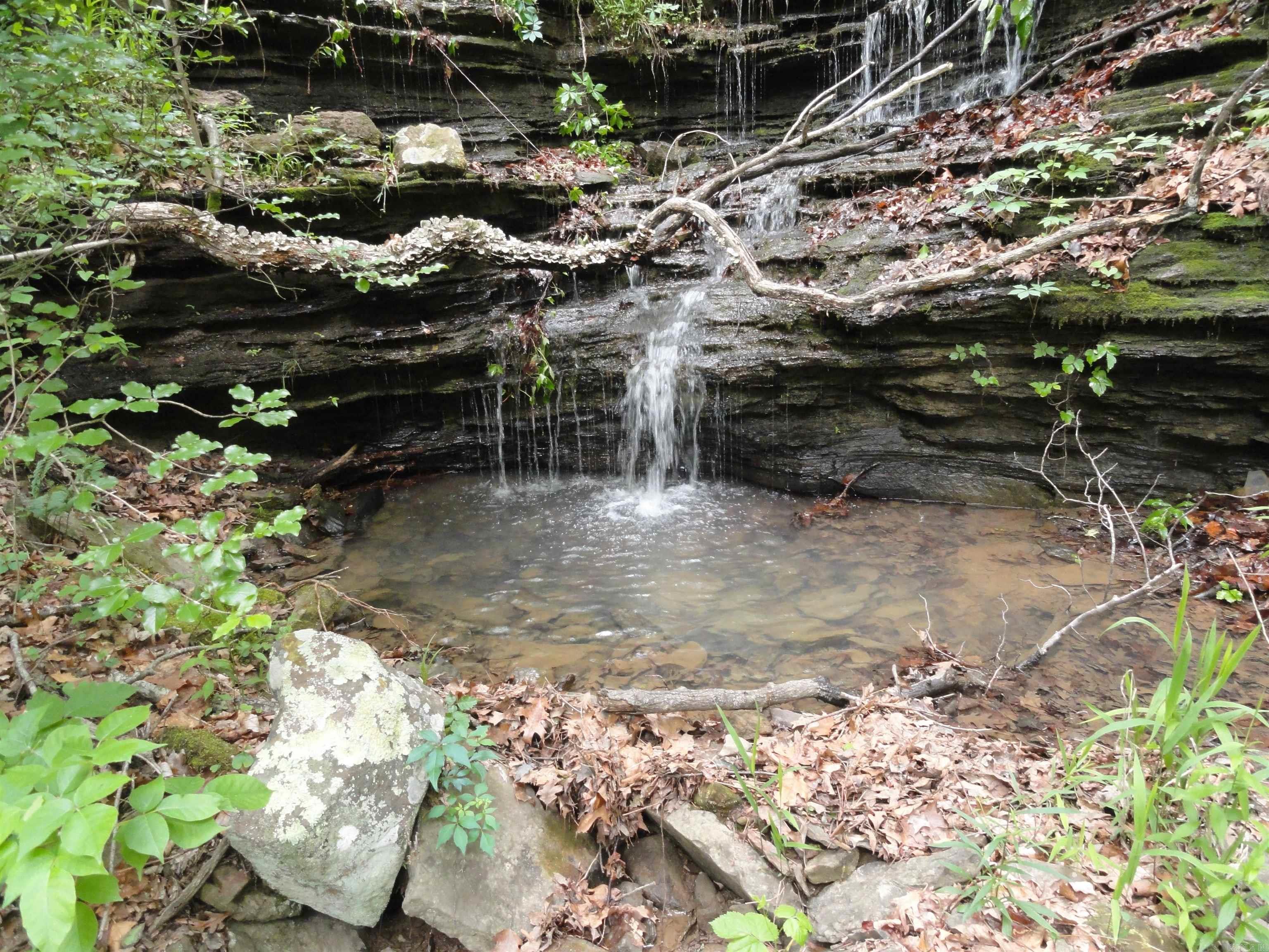 0000 Holly Mtn. Road Property Photo 37