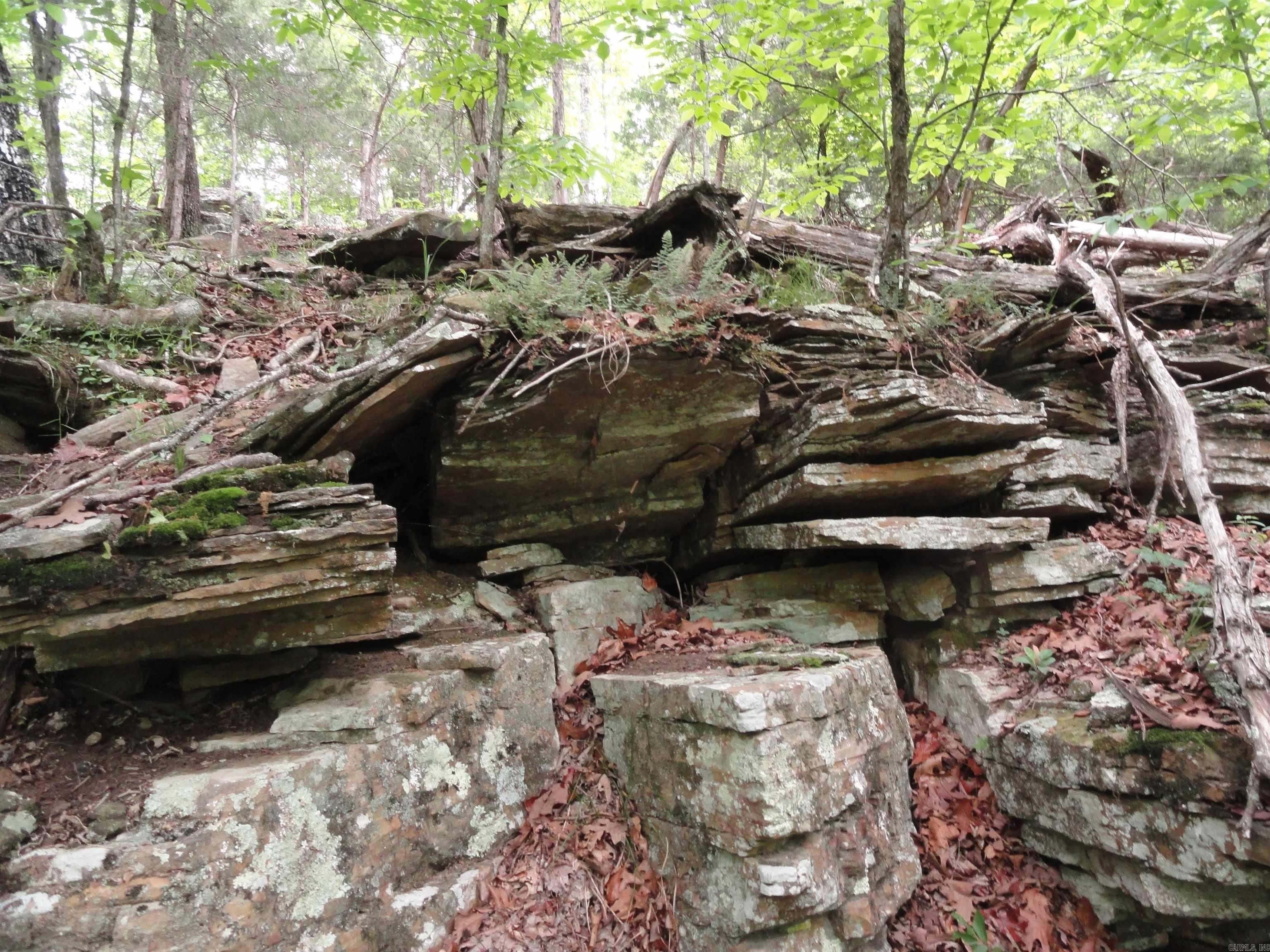 0000 Holly Mtn. Road Property Photo 43