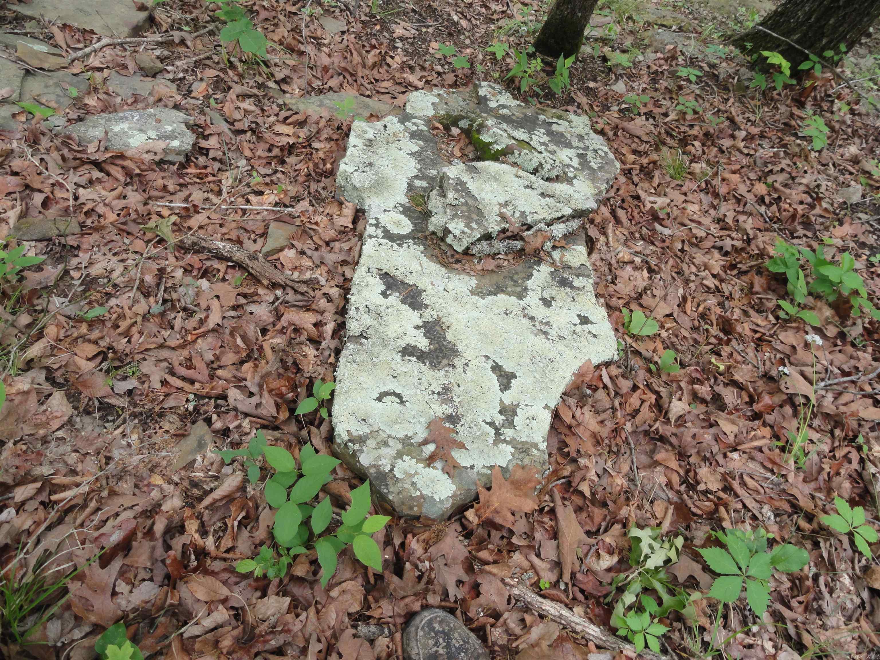 0000 Holly Mtn. Road Property Photo 44