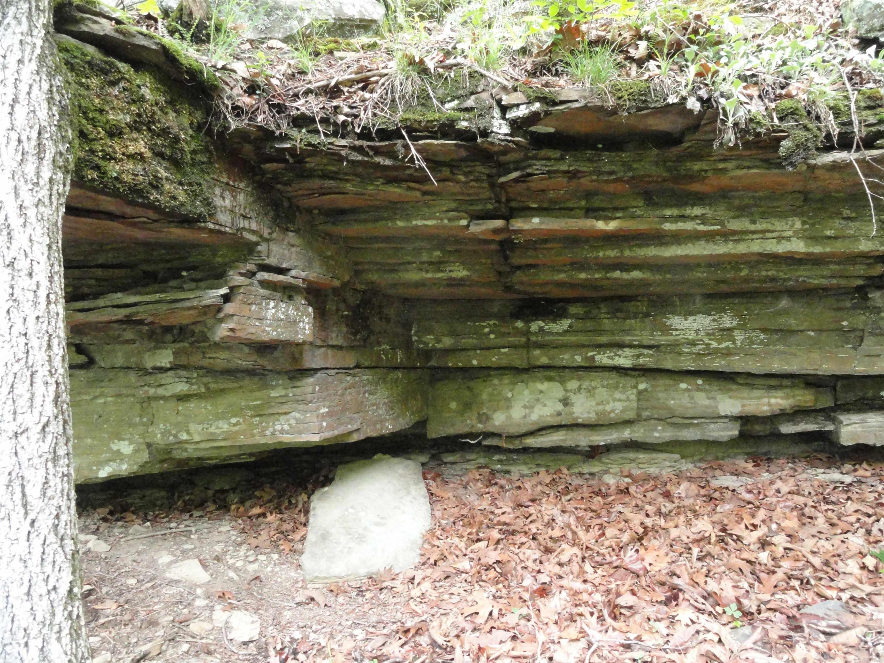 0000 Holly Mtn. Road Property Photo 45