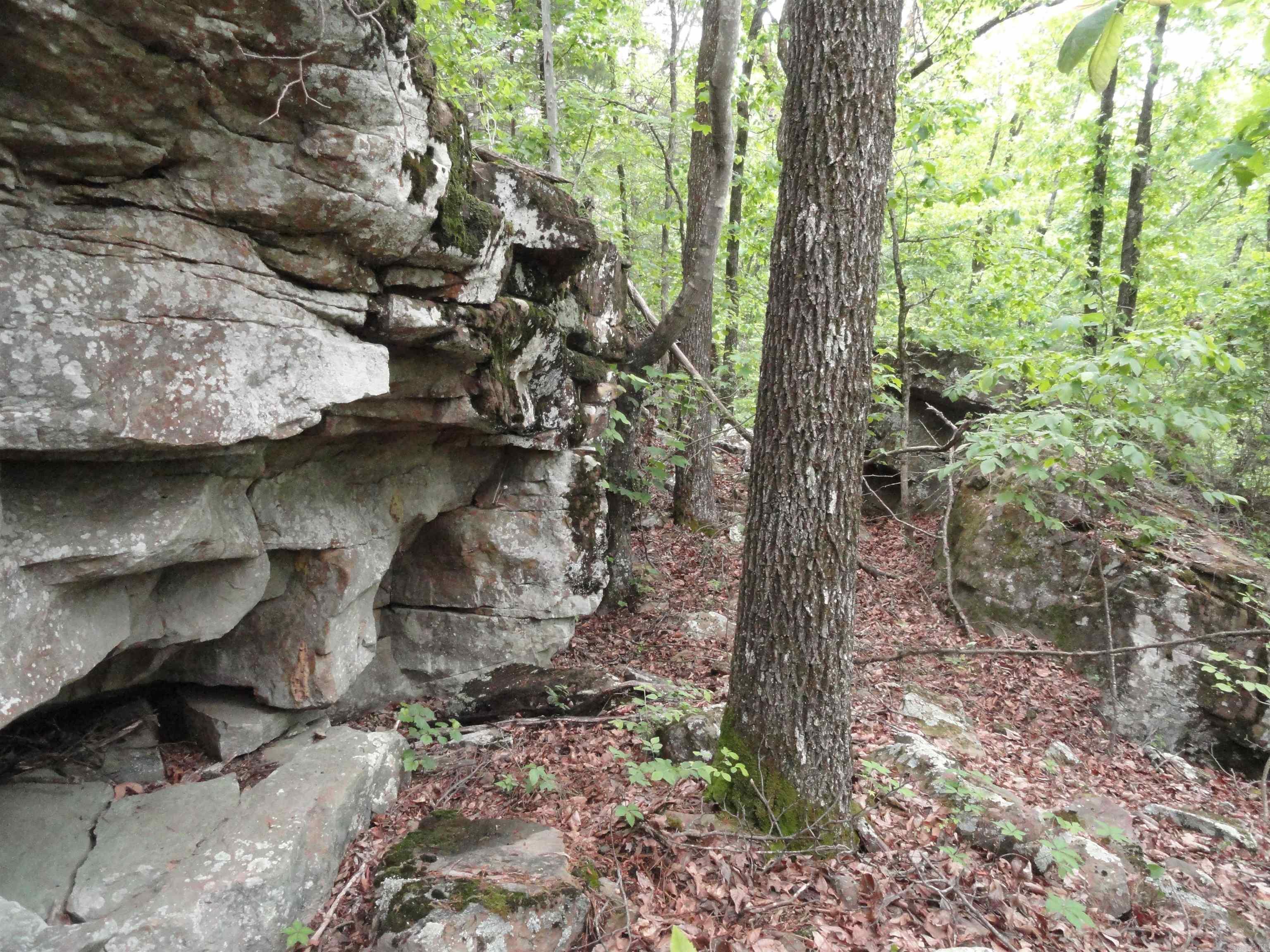 0000 Holly Mtn. Road Property Photo 46