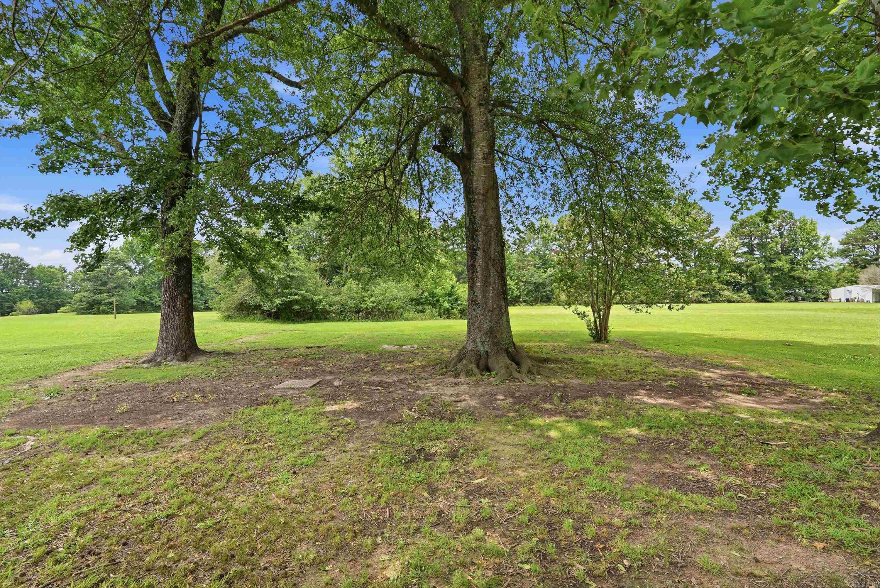 8179 North Main Street Property Photo 36