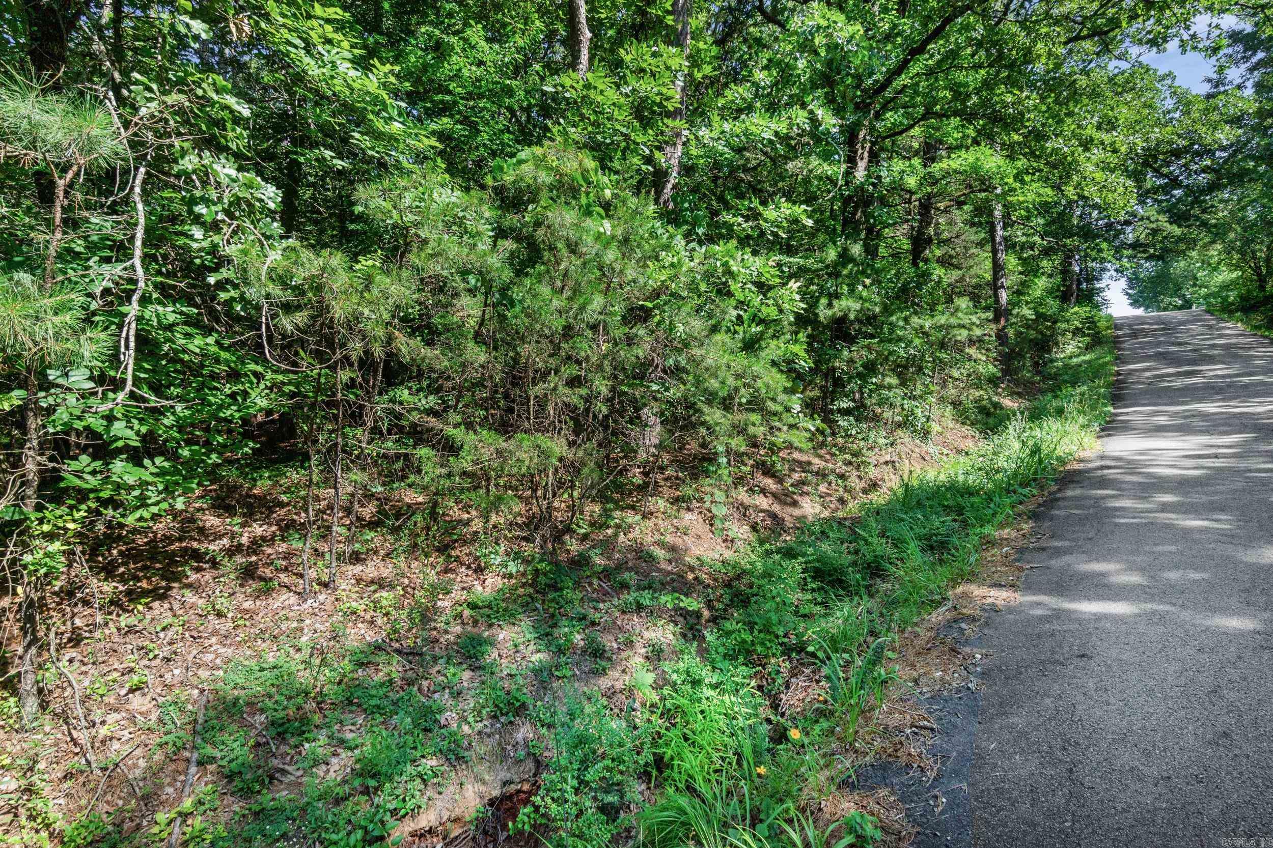 Block 10 Sunnymeadow/broadway Property Photo 8