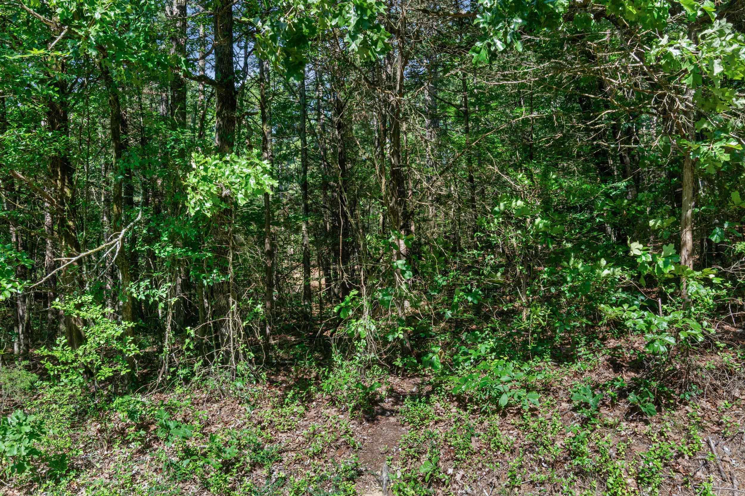 Block 19 Sunnymeadow/broadway Property Photo 8