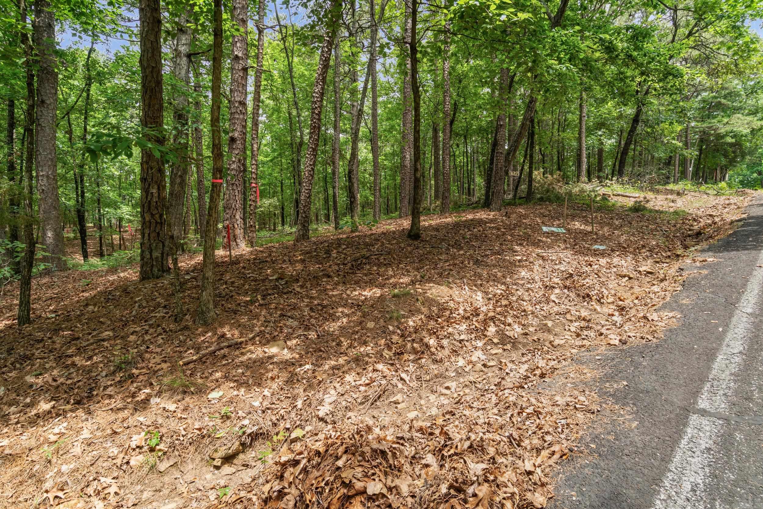 Lots 214/215 Sky King Road Property Photo 2